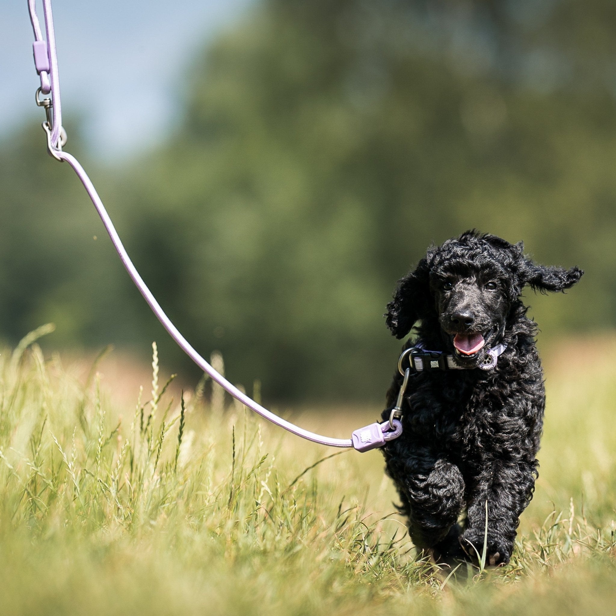 Tauleine - MATRIX 2.0 Lavendel