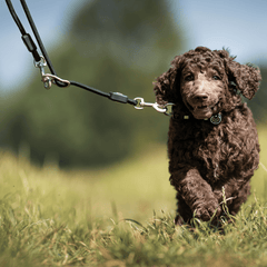 Rope Leash - MATRIX 2.0 Black