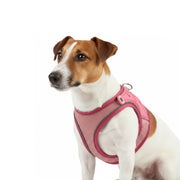 Air Vest Dog Harness - Matrix 2.0 Rose