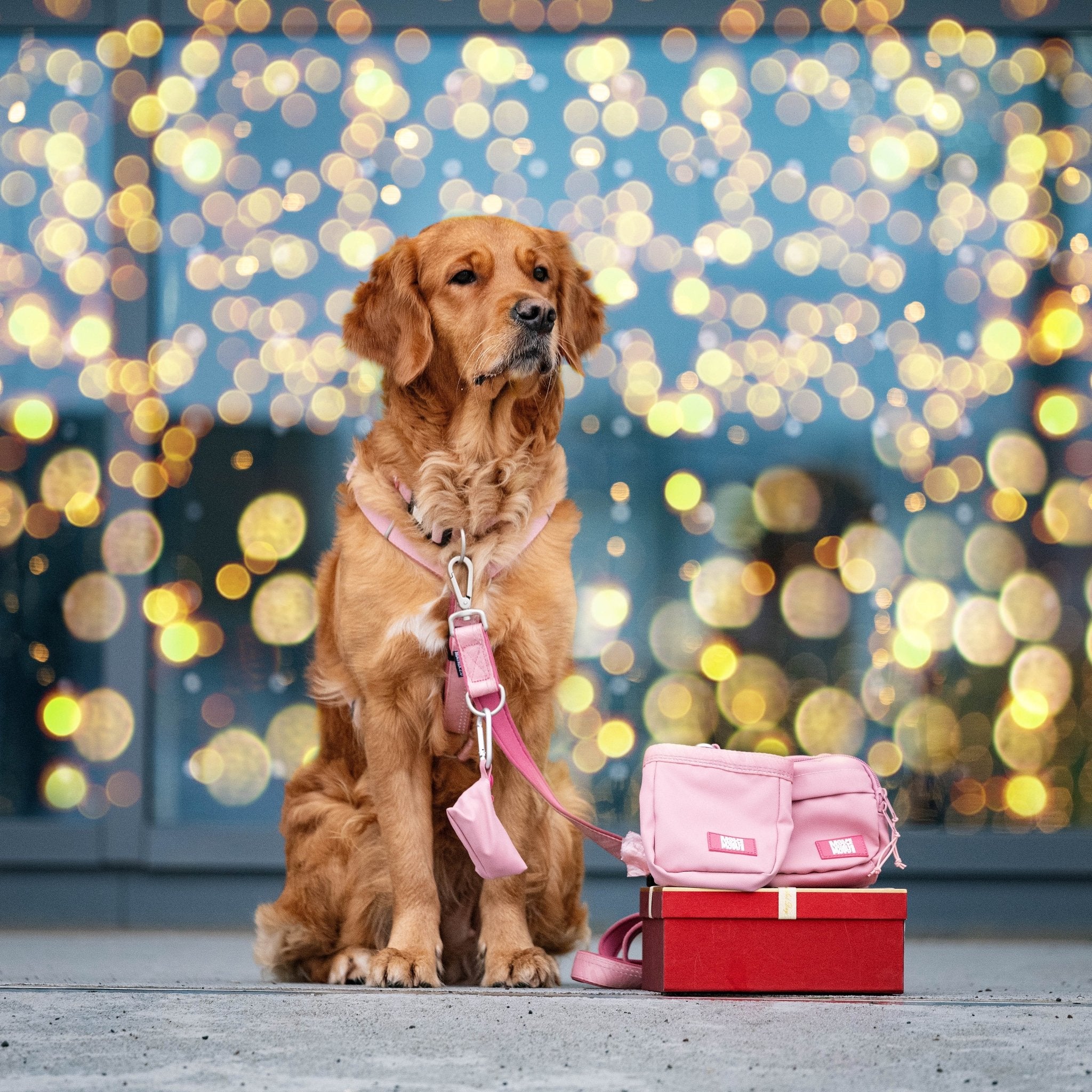 Kotbeuteltasche - Matrix 2.0 Rose