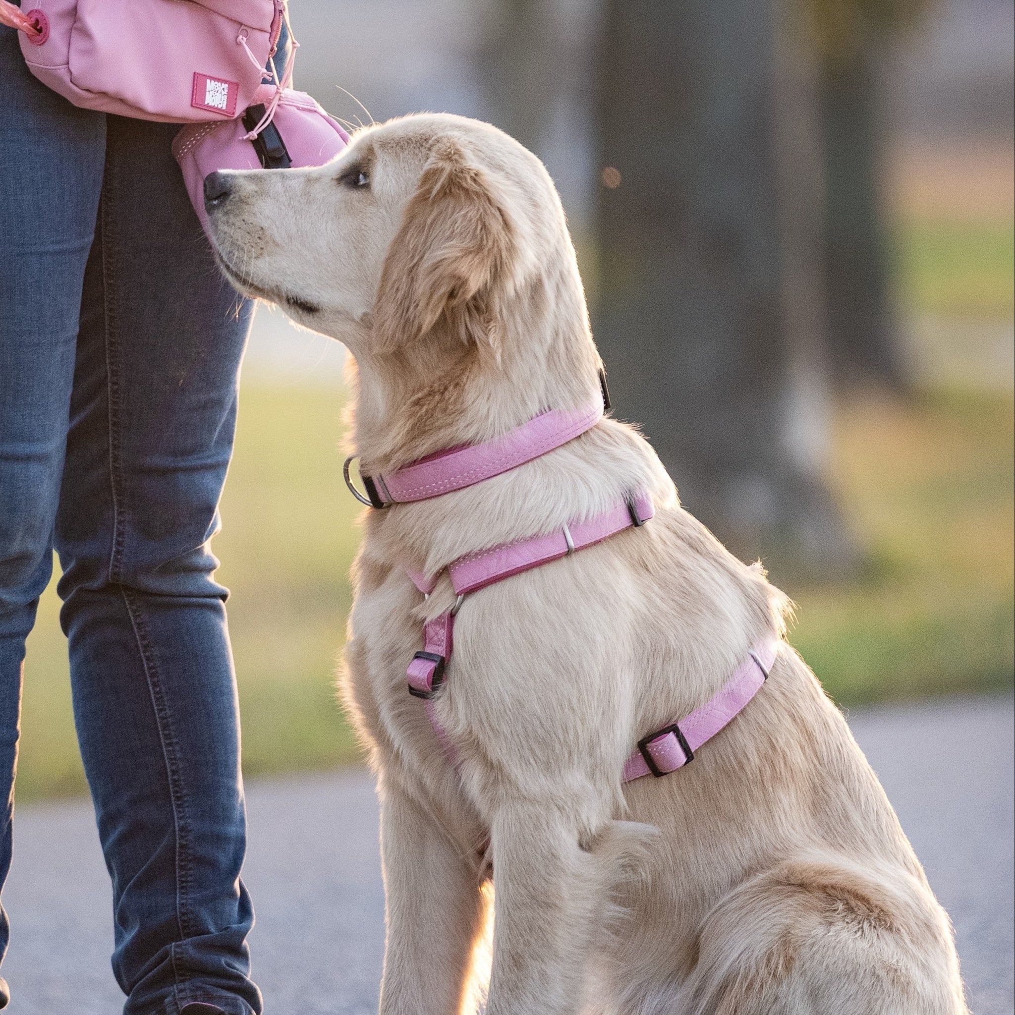 GOTCHA! Smart ID Comfort H-Geschirr - Matrix 2.0 Rose