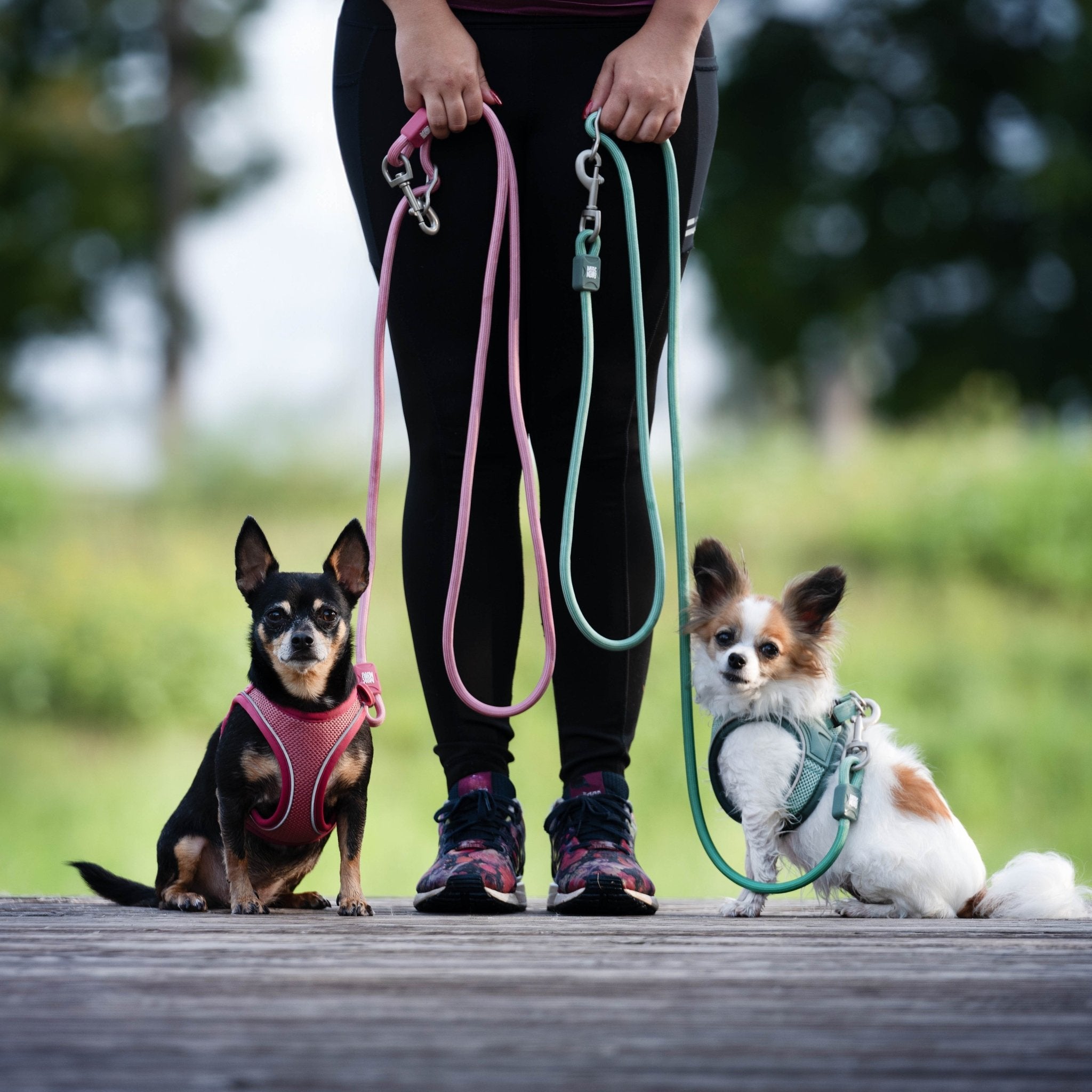 Air Vest Dog Harness - Matrix 2.0 Jade