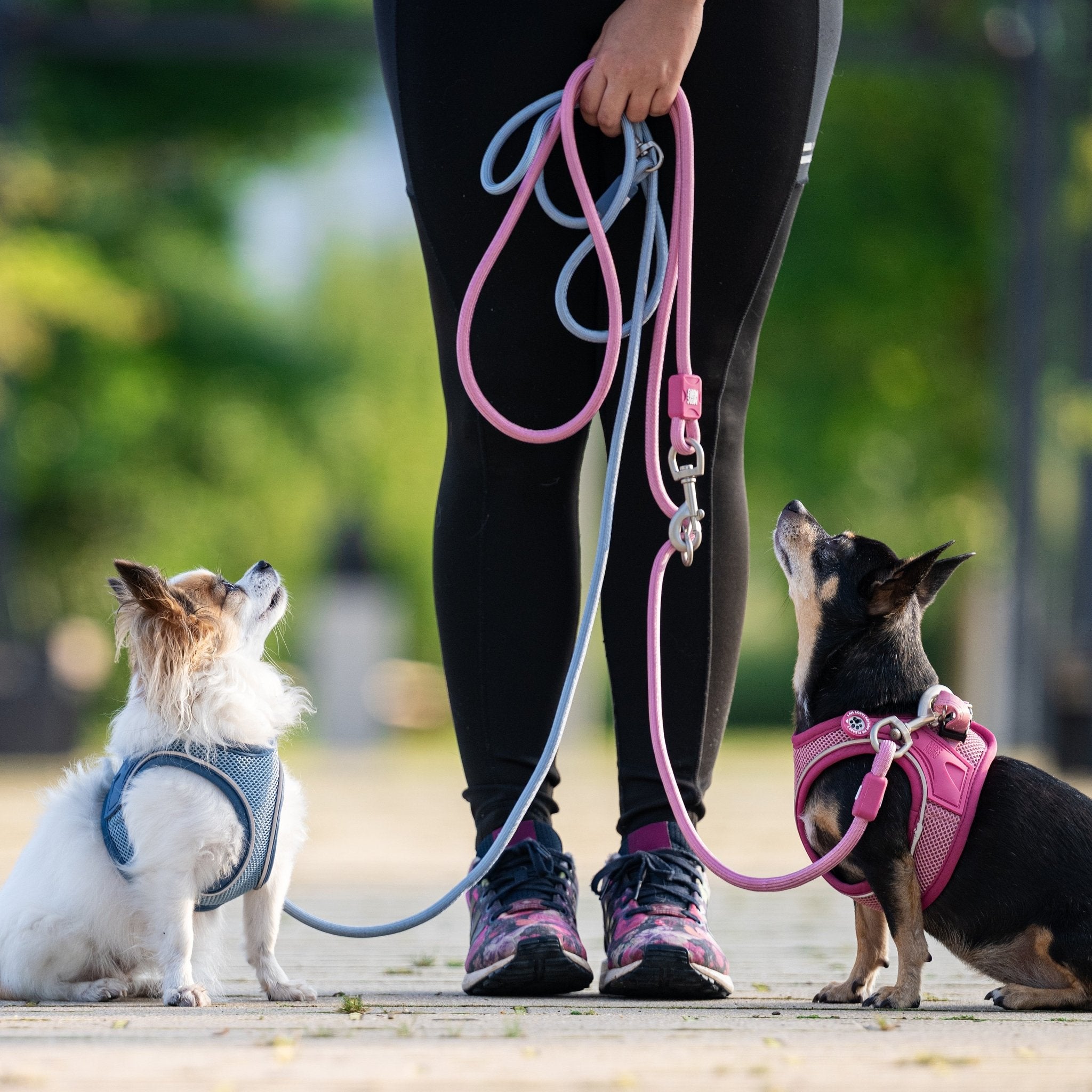 Air Vest Dog Harness - Matrix 2.0 Rose