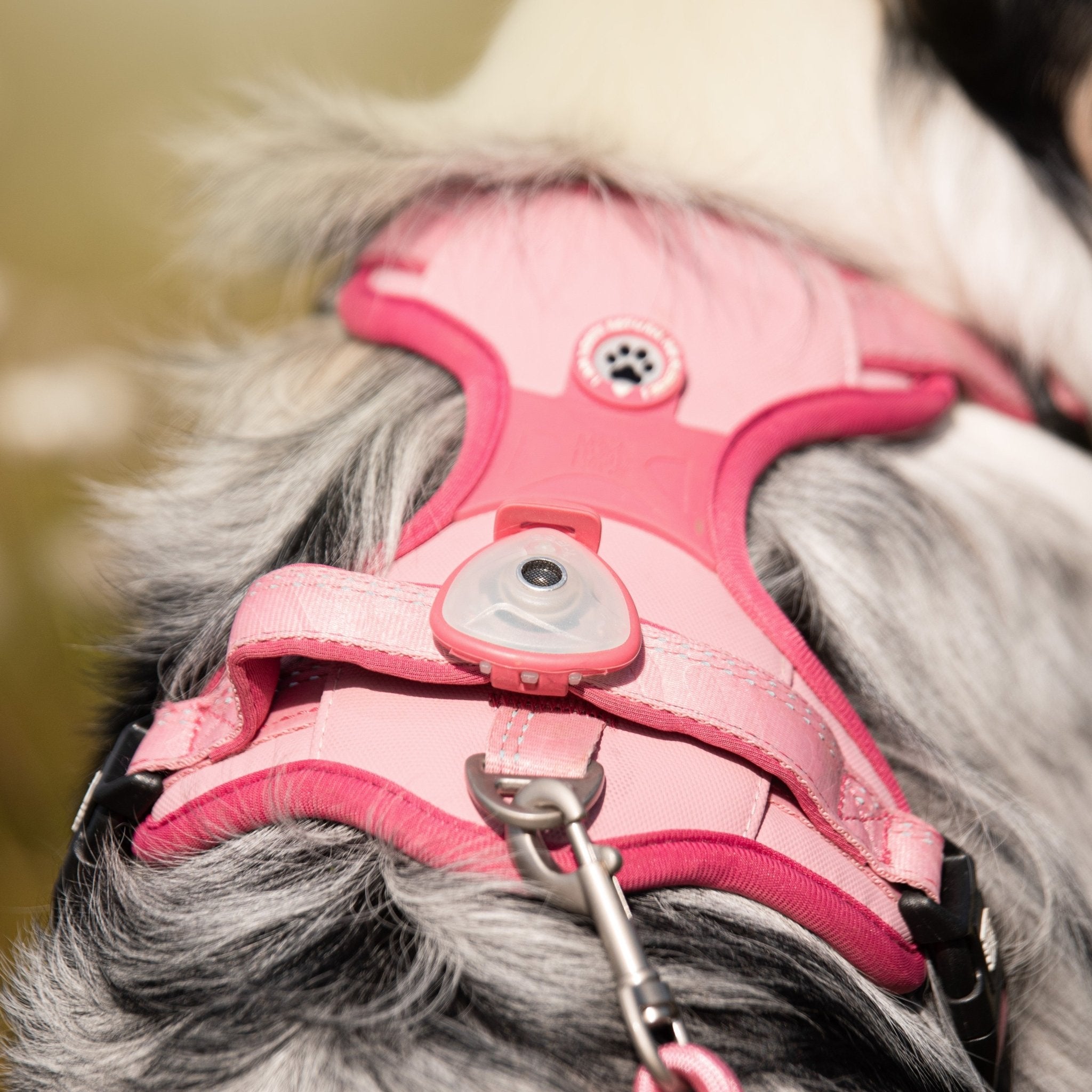 Soundshield - 24/7 Ultraschall Technologie gegen Zecken & Flöhe - Rose