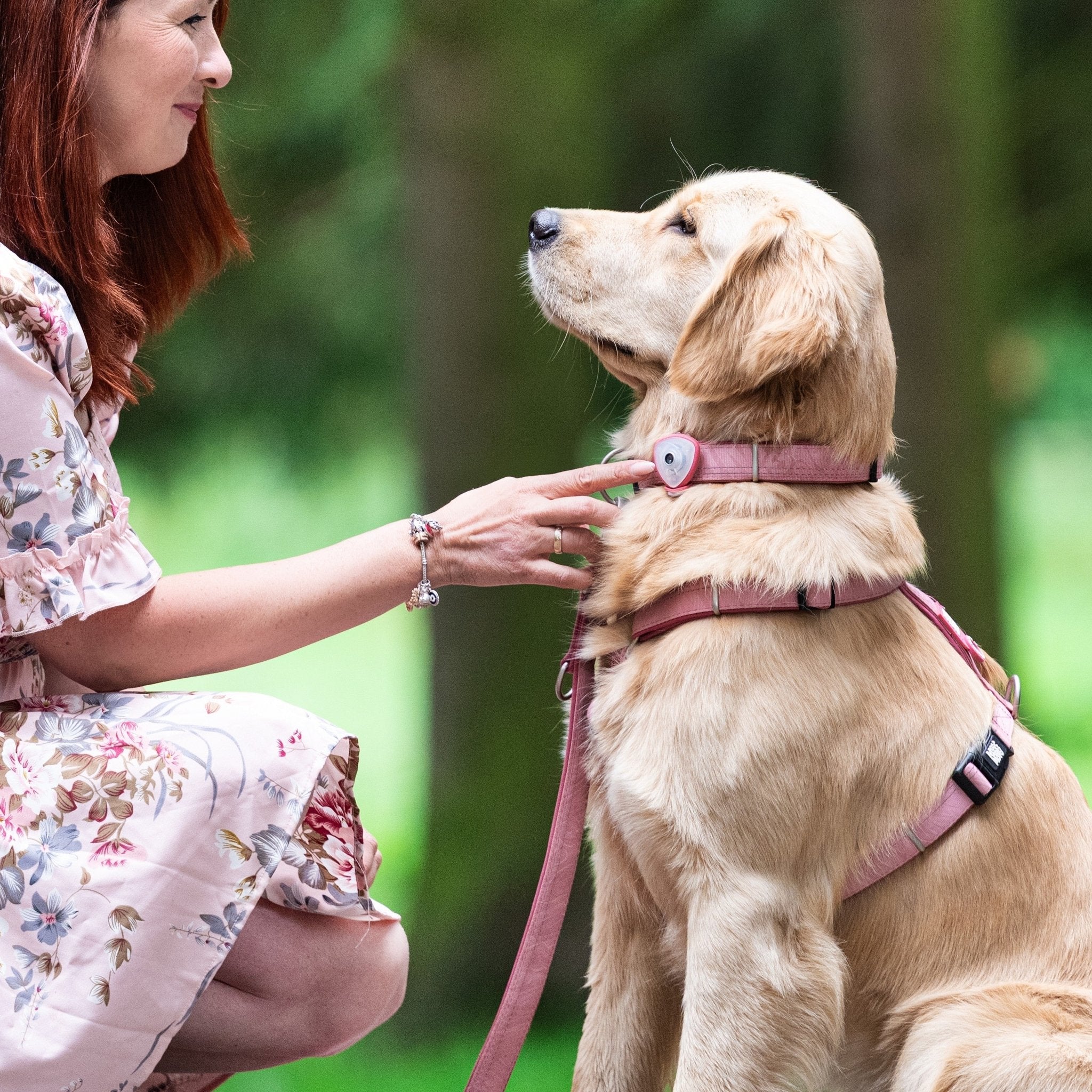 GOTCHA! Smart ID Comfort H-Geschirr - Matrix 2.0 Rose