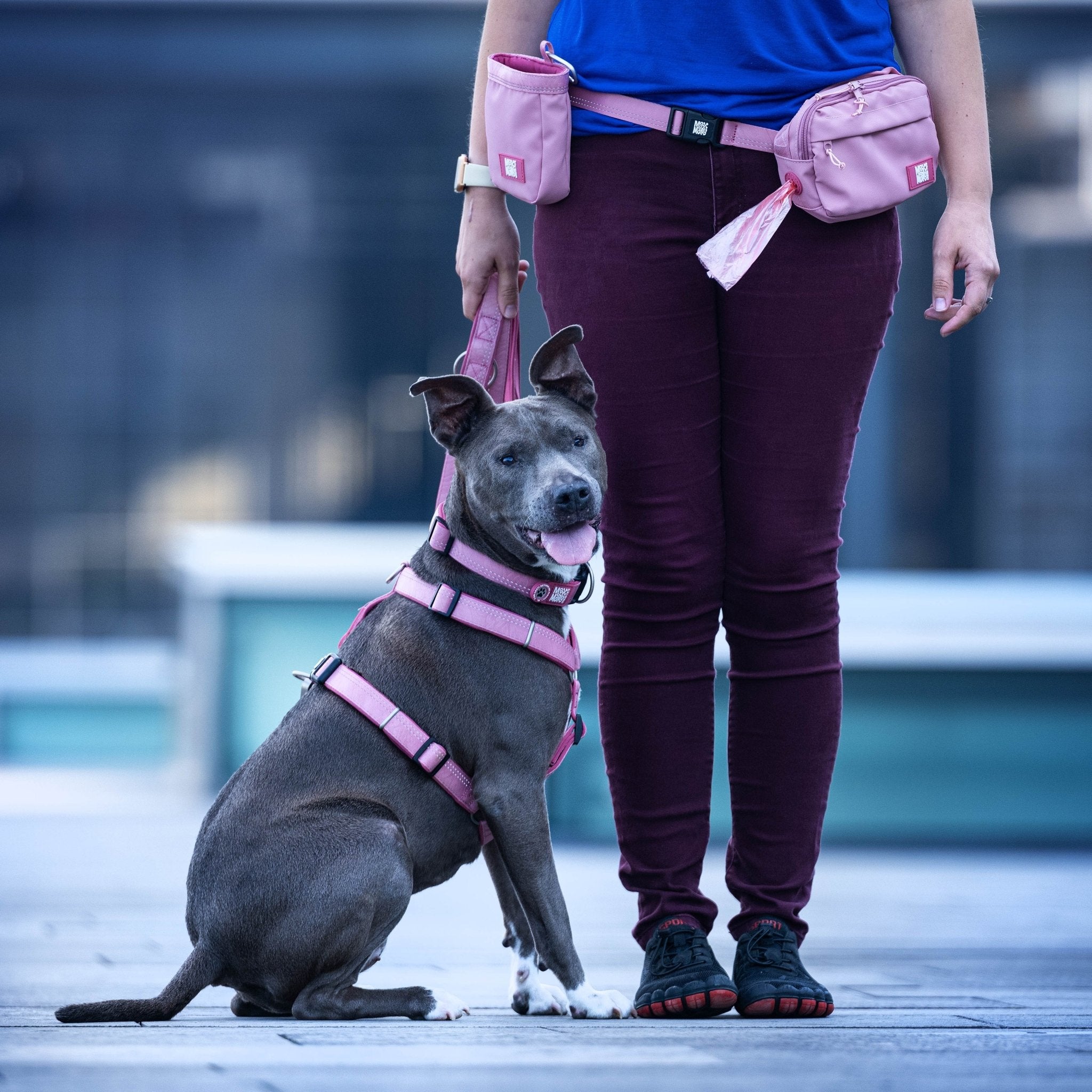 Leckerli Tasche - Matrix 2.0 Rose