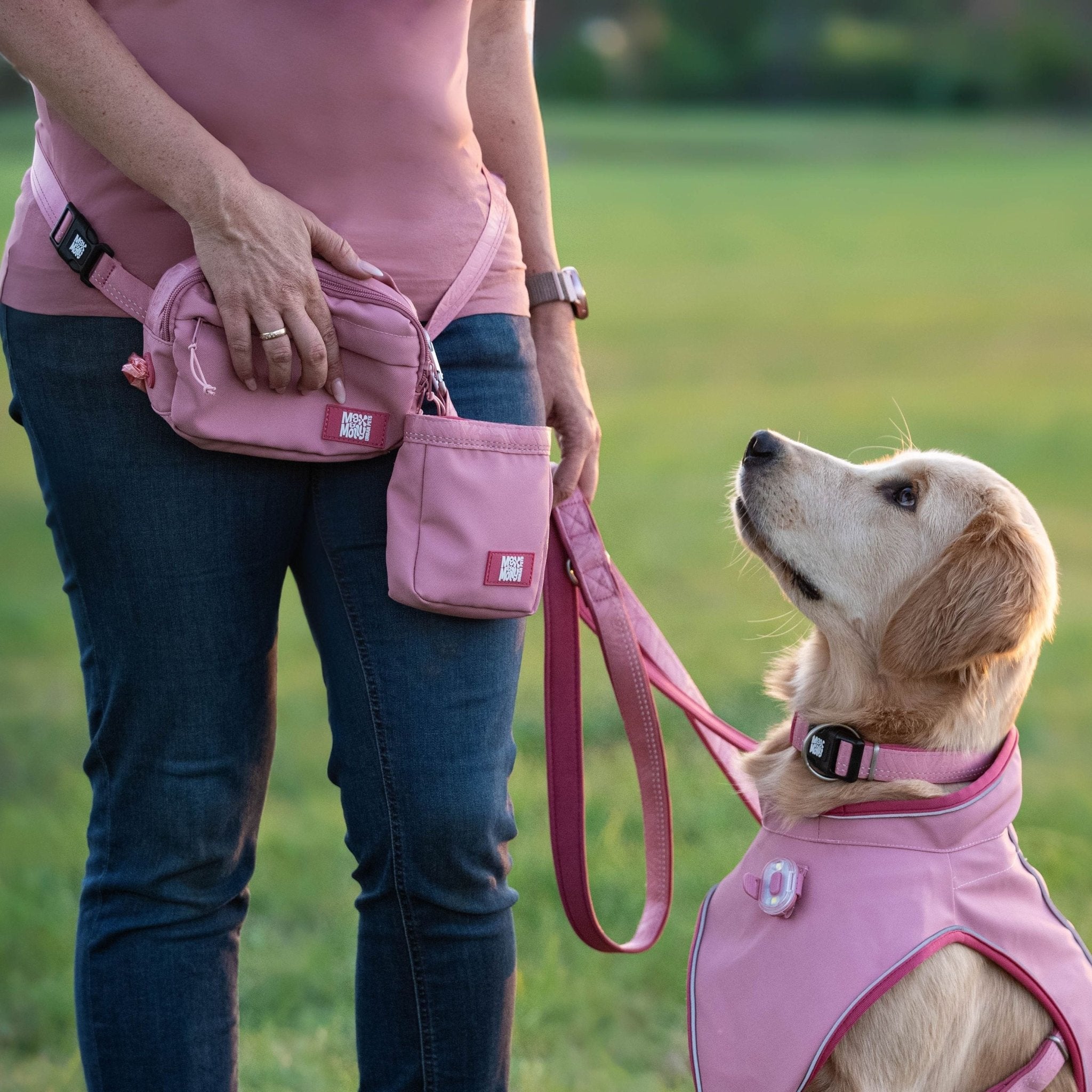 Leckerli Tasche - Matrix 2.0 Rose