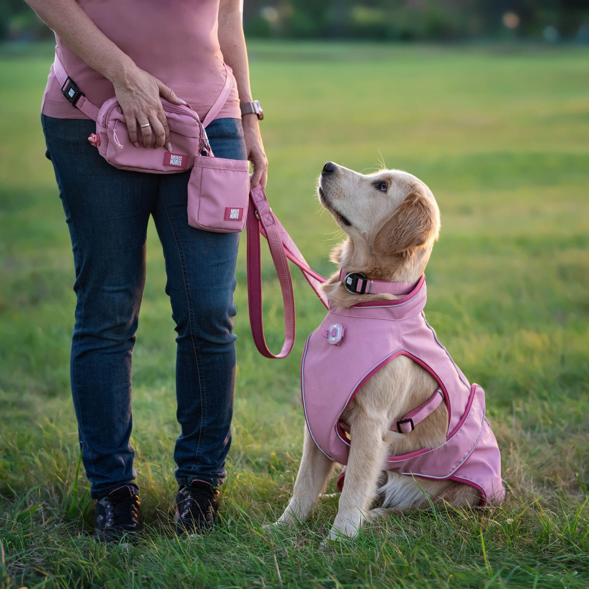 Regenmantel für Hunde - Matrix 2.0 Rose