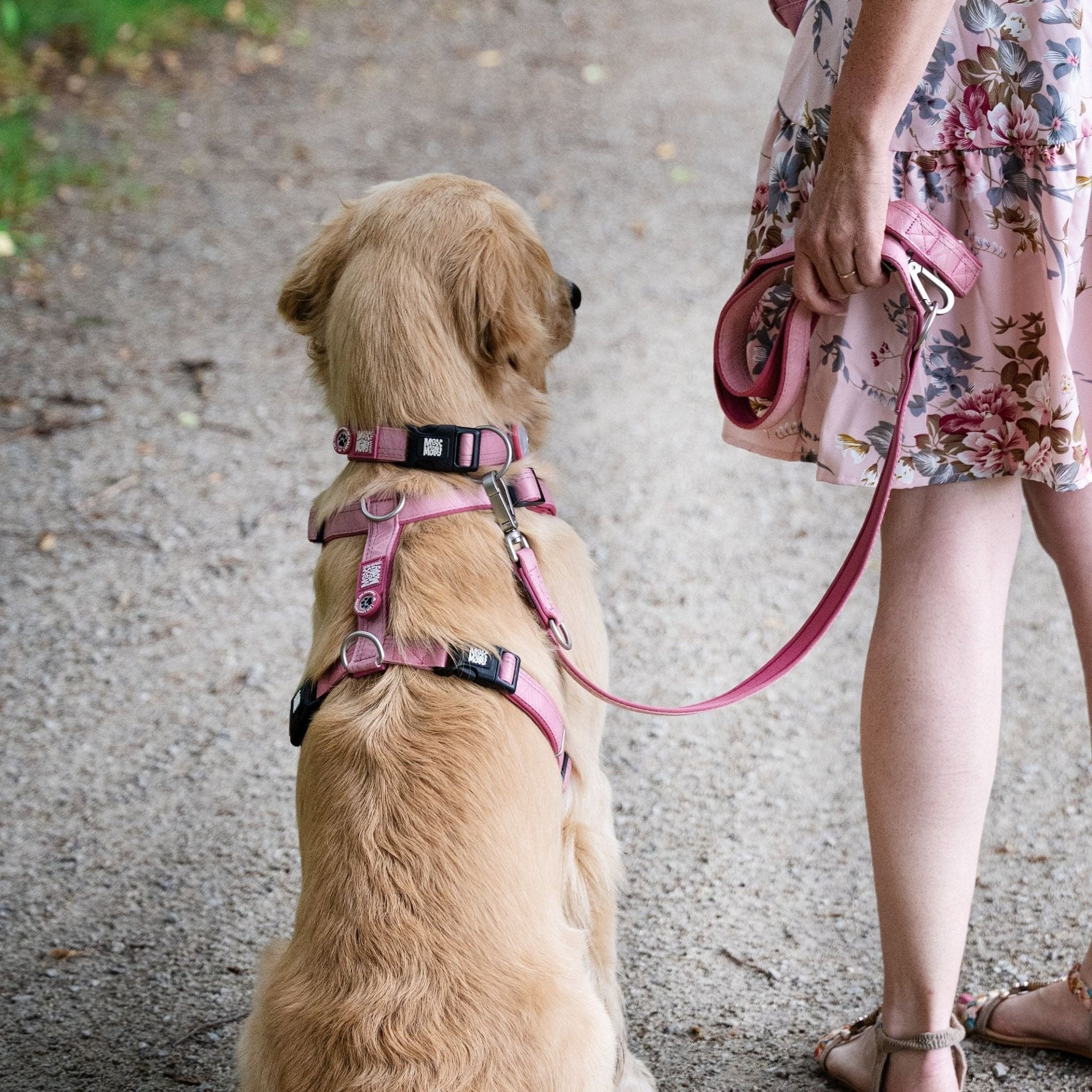 GOTCHA! Smart ID Comfort H-Geschirr - Matrix 2.0 Rose