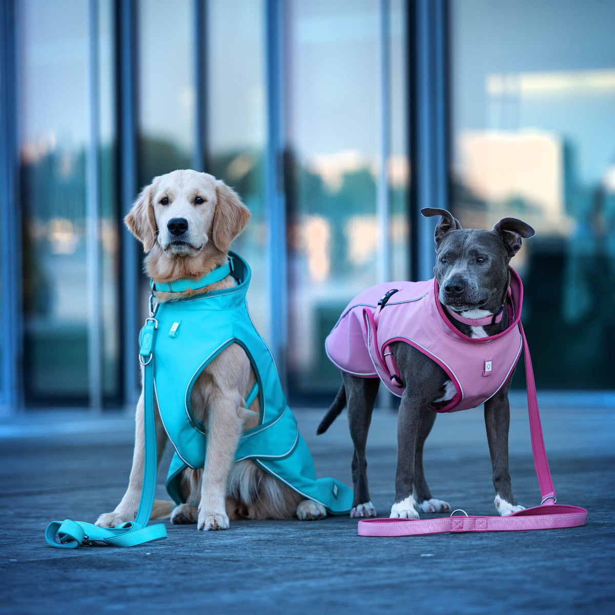 Raincoat for dogs - Matrix 2.0 Turquoise