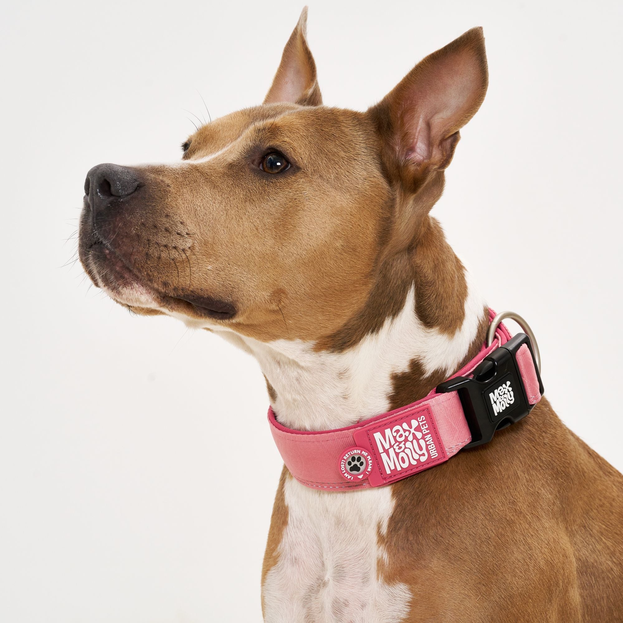 Smart ID Breites Halsband - Matrix 2.0 Rose