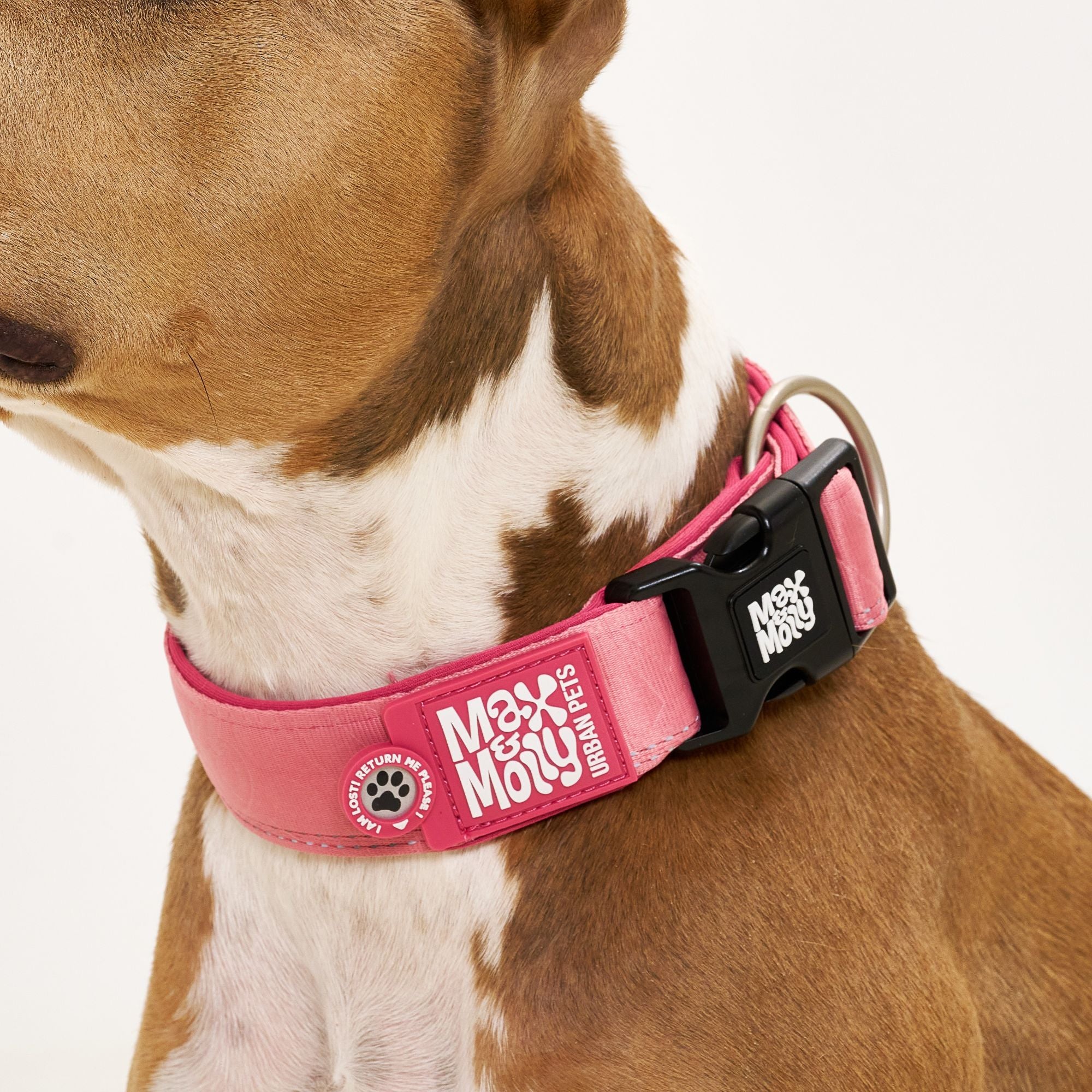 Smart ID Wide Collar - Matrix 2.0 Rose
