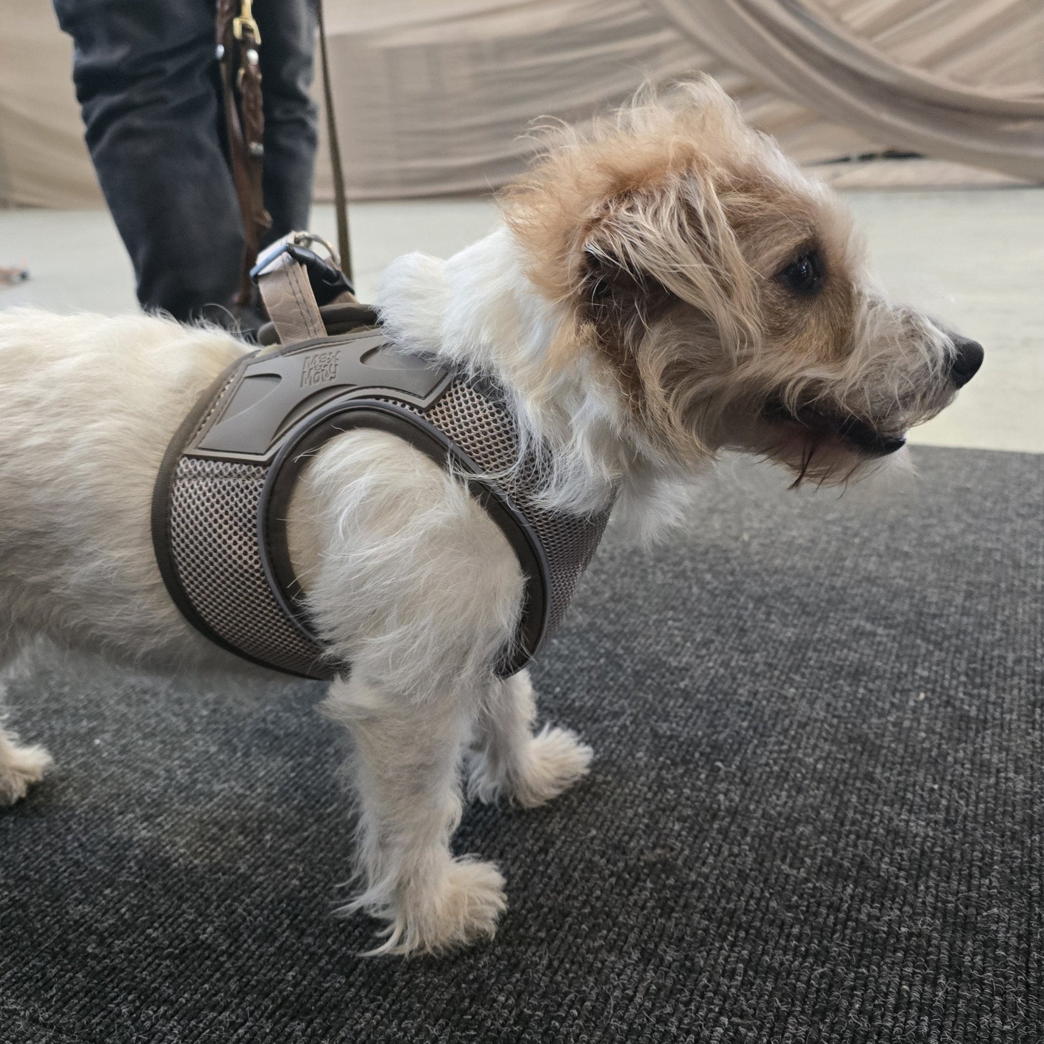 Air Vest Hunde Geschirr - Matrix 2.0 Sand