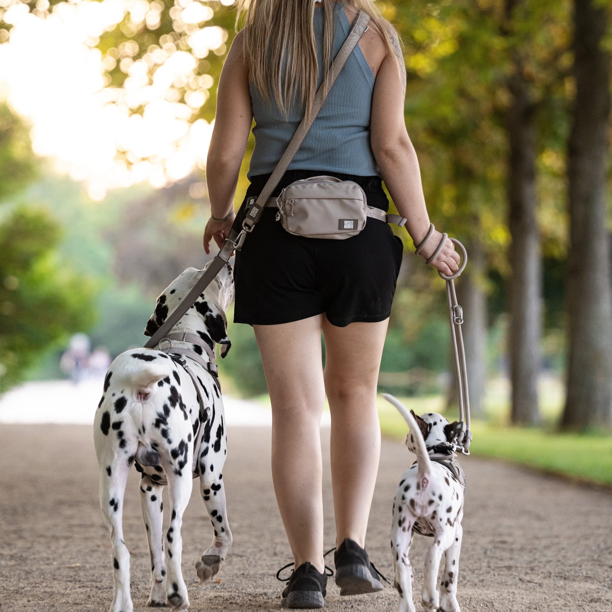 Multifunctional Leash - Matrix 2.0 Sand