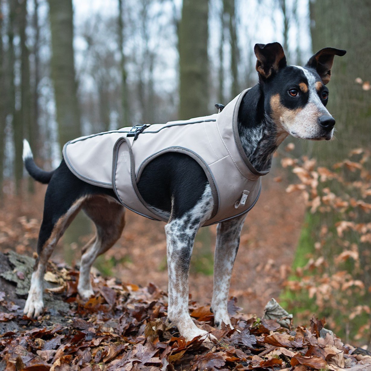 Raincoat for dogs - MATRIX 2.0 SAND
