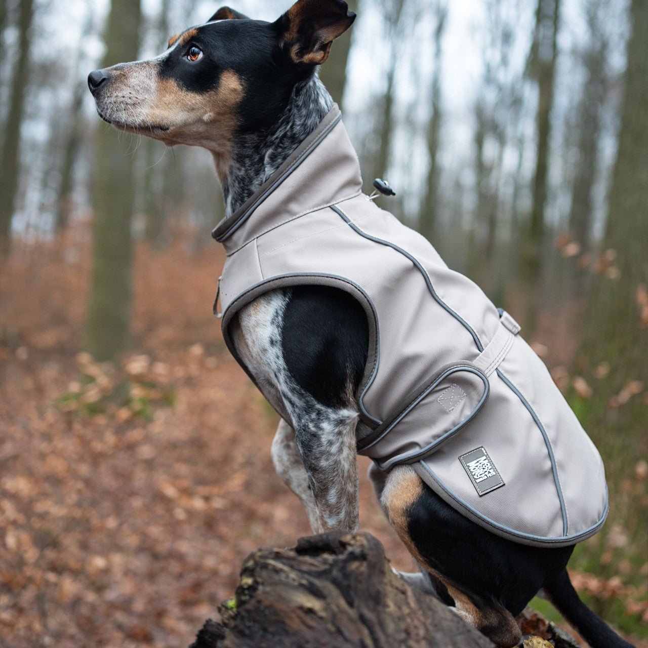 Regenmantel für Hunde - MATRIX 2.0 SAND