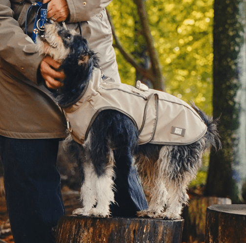 Raincoat for dogs - Matrix 2.0 Sand