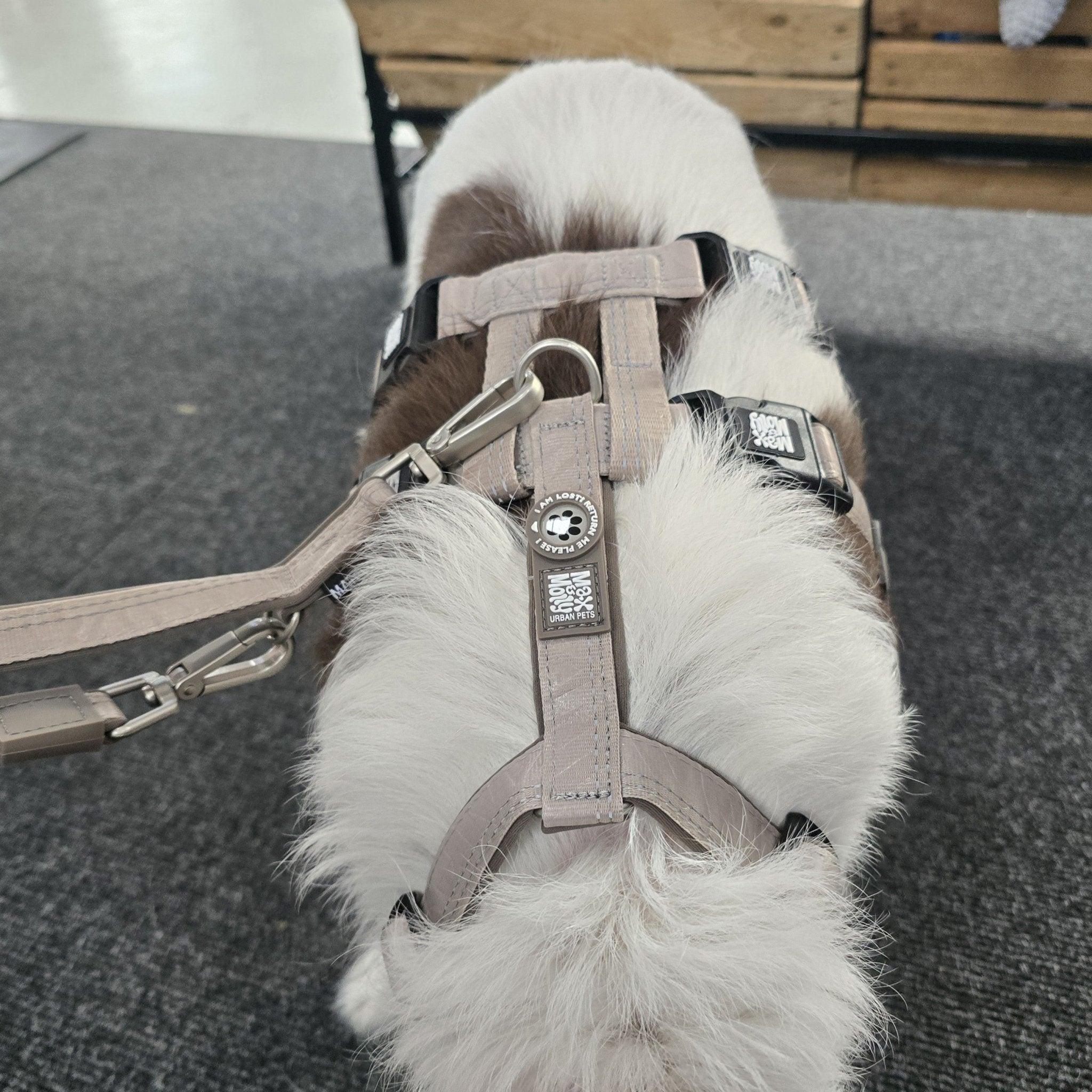 Safety Harness Adapter - Matrix 2.0 Sand