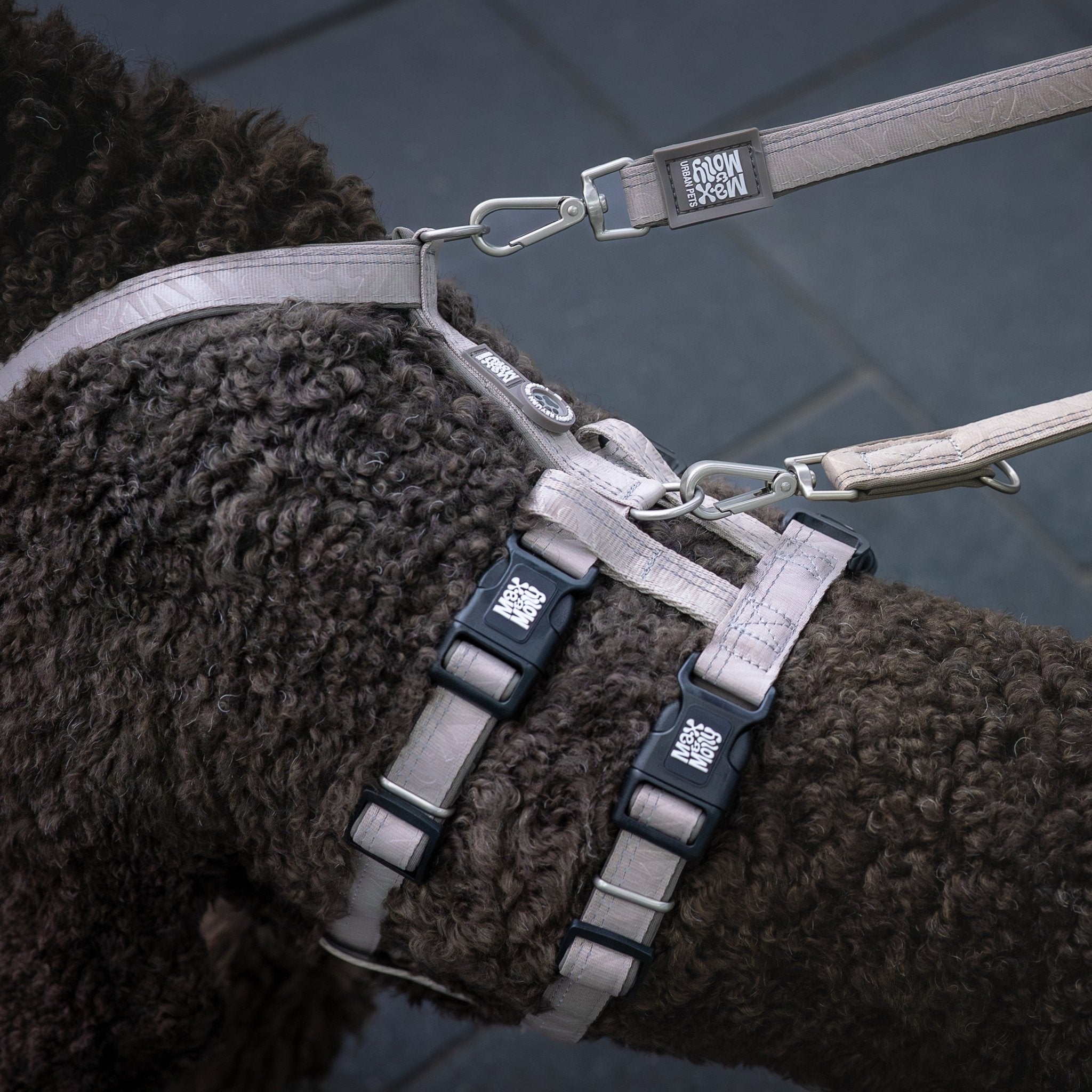 Multifunctional Leash - Matrix 2.0 Sand