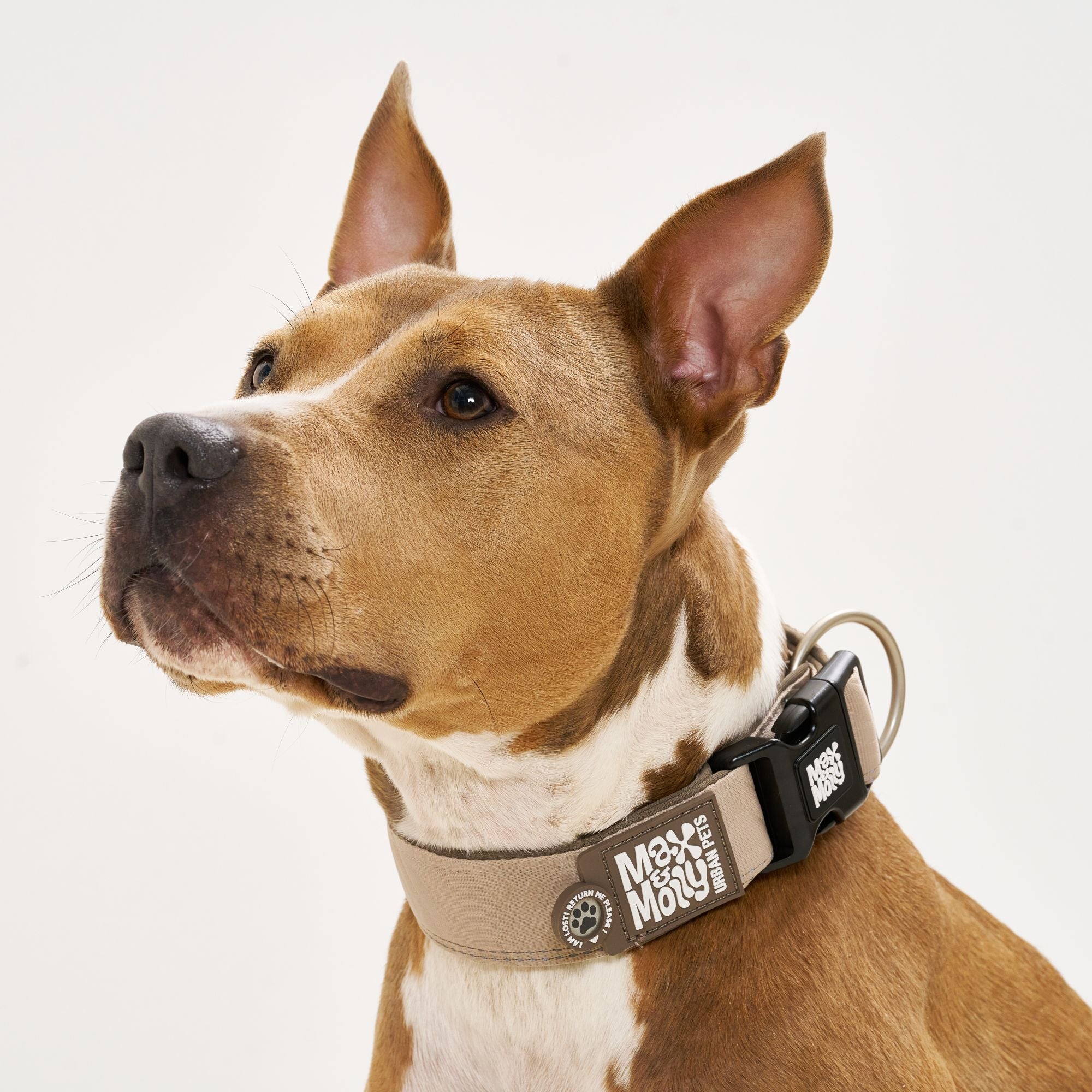 Smart ID Breites Halsband - Matrix 2.0 Sand