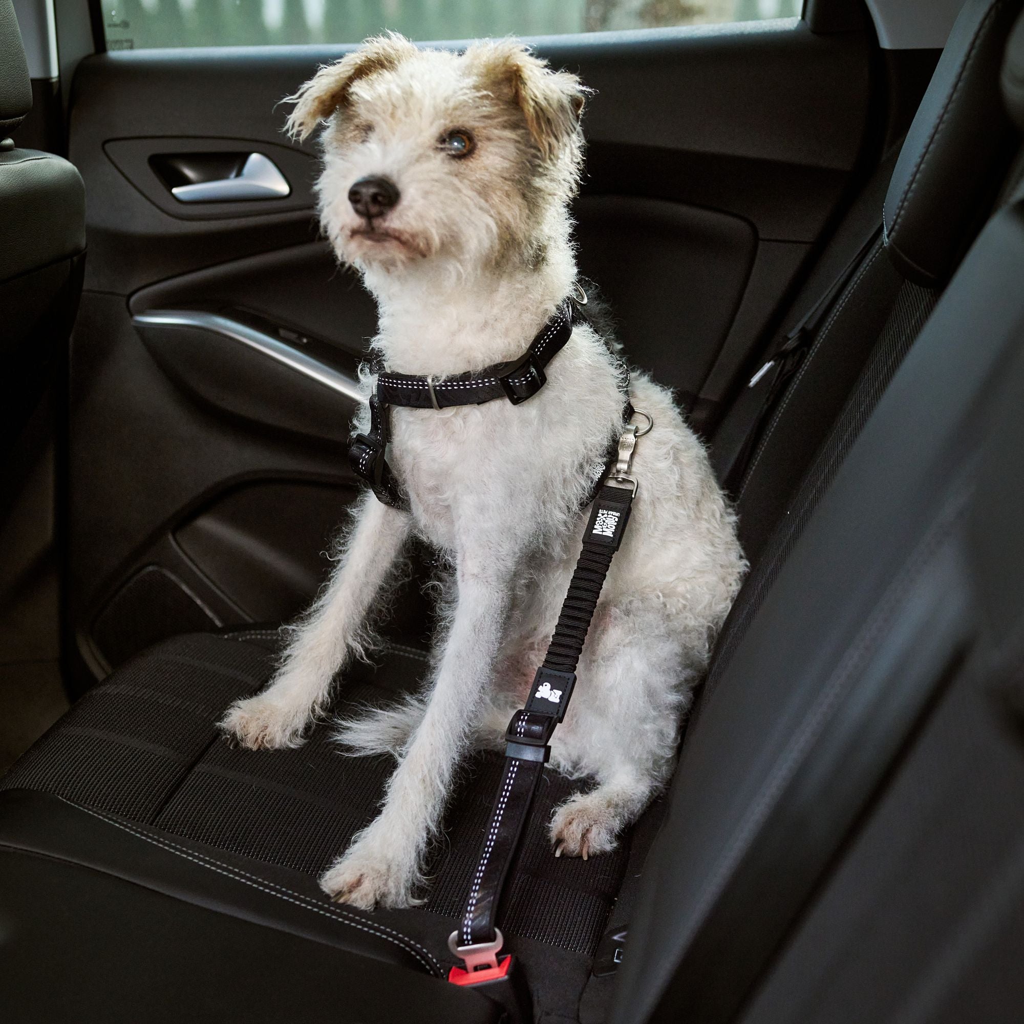 Autosicherheitsgurt - Matrix 2.0