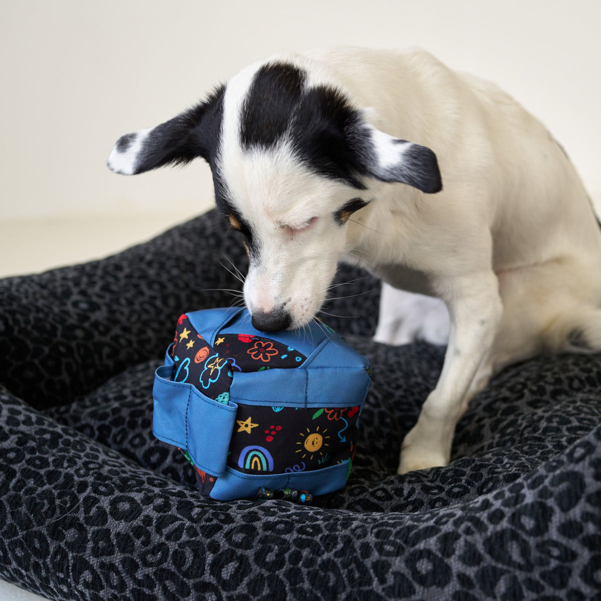 Snuffle Dog Toy Cube - Level 1