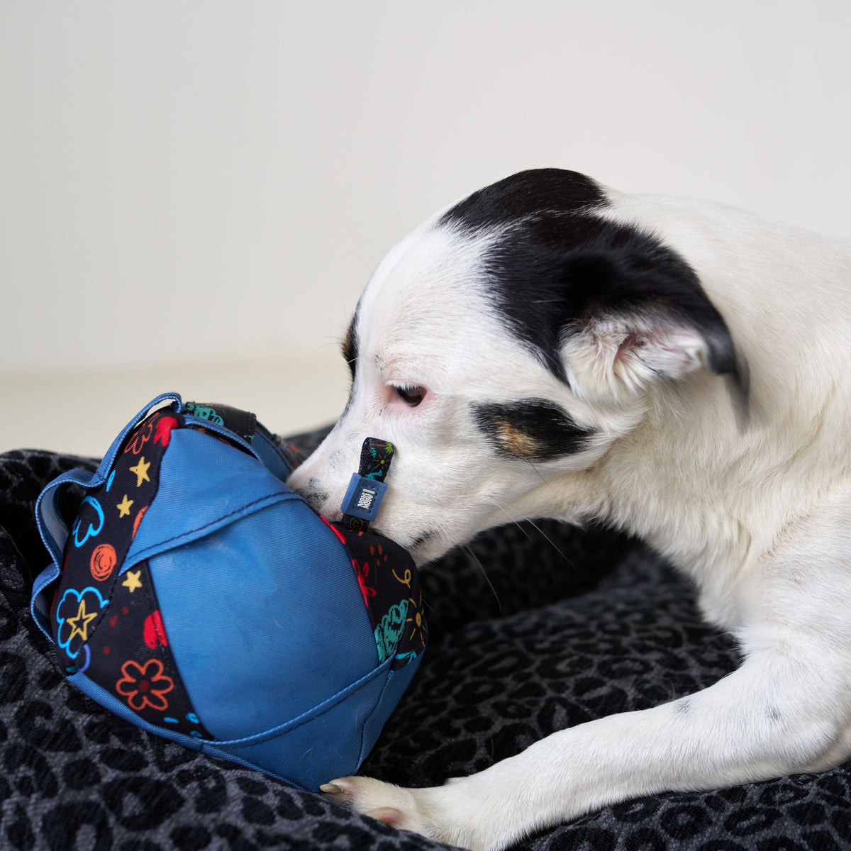 Snuffle Dog Toy Cube - Level 1