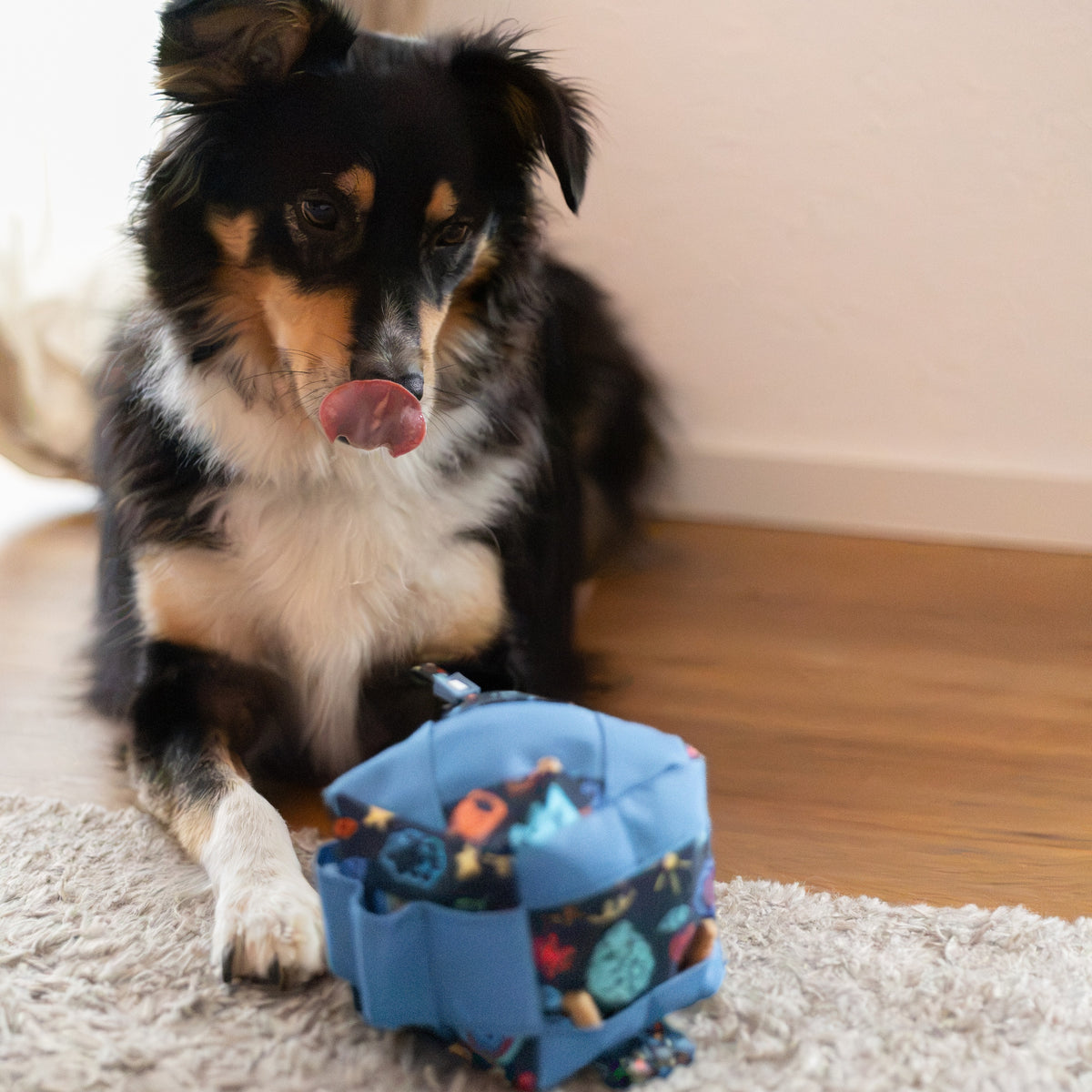 Snuffle Dog Toy Cube - Level 1