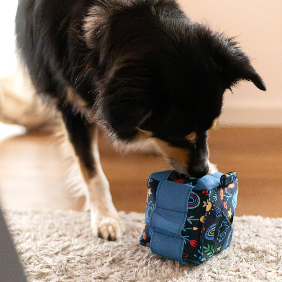 Snuffle Dog Toy Cube - Level 1
