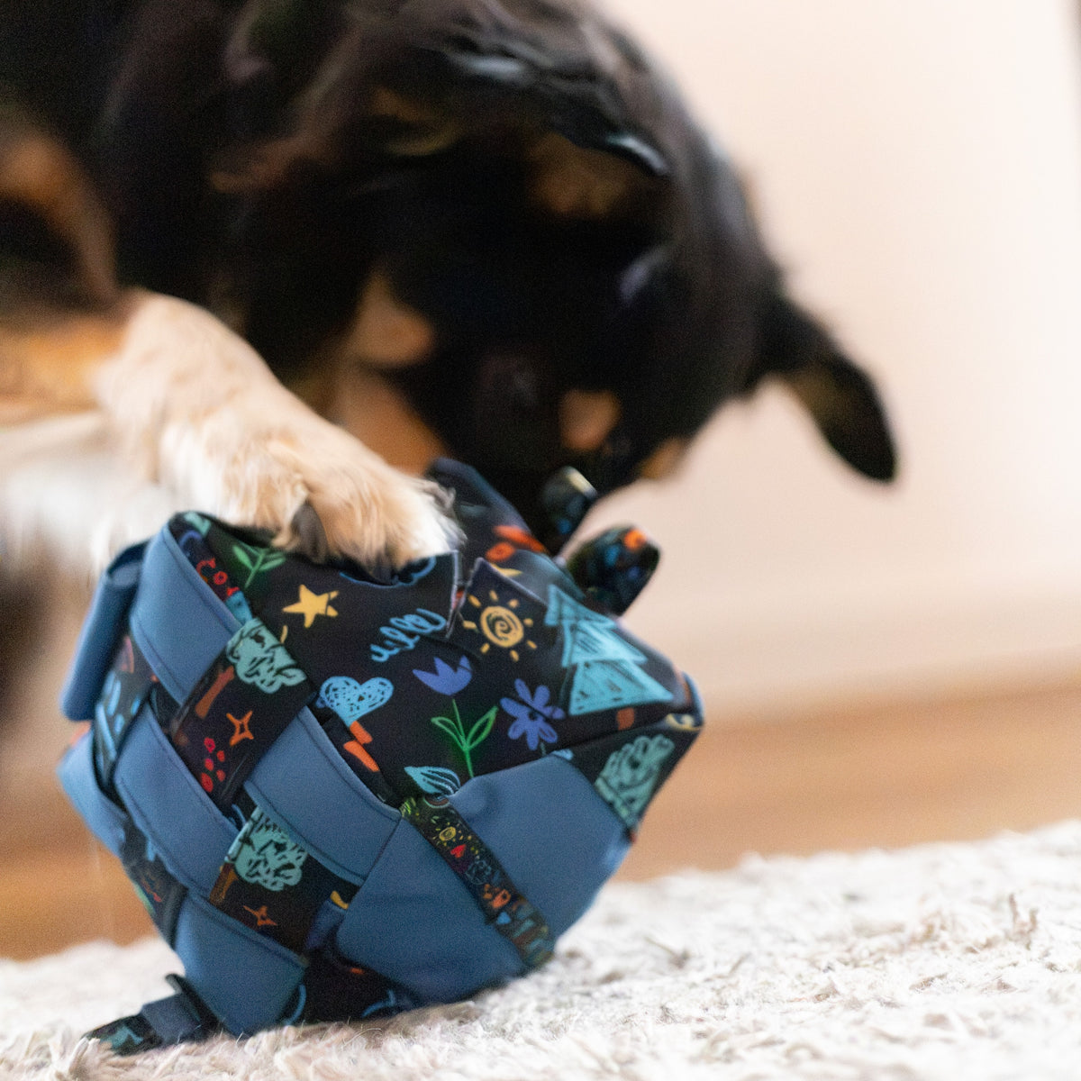 Snuffle Dog Toy Cube - Level 1