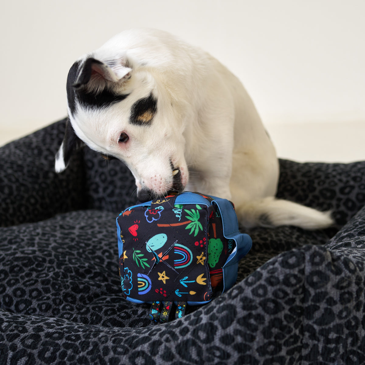 Snuffle Dog Toy Cube - Level 1