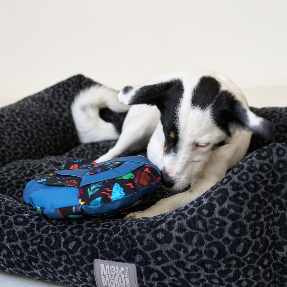 Snuffle Dog Cushion - Level 2