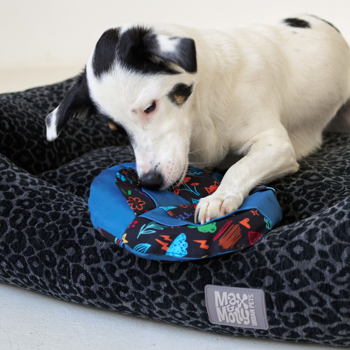 Snuffle Dog Cushion - Level 2