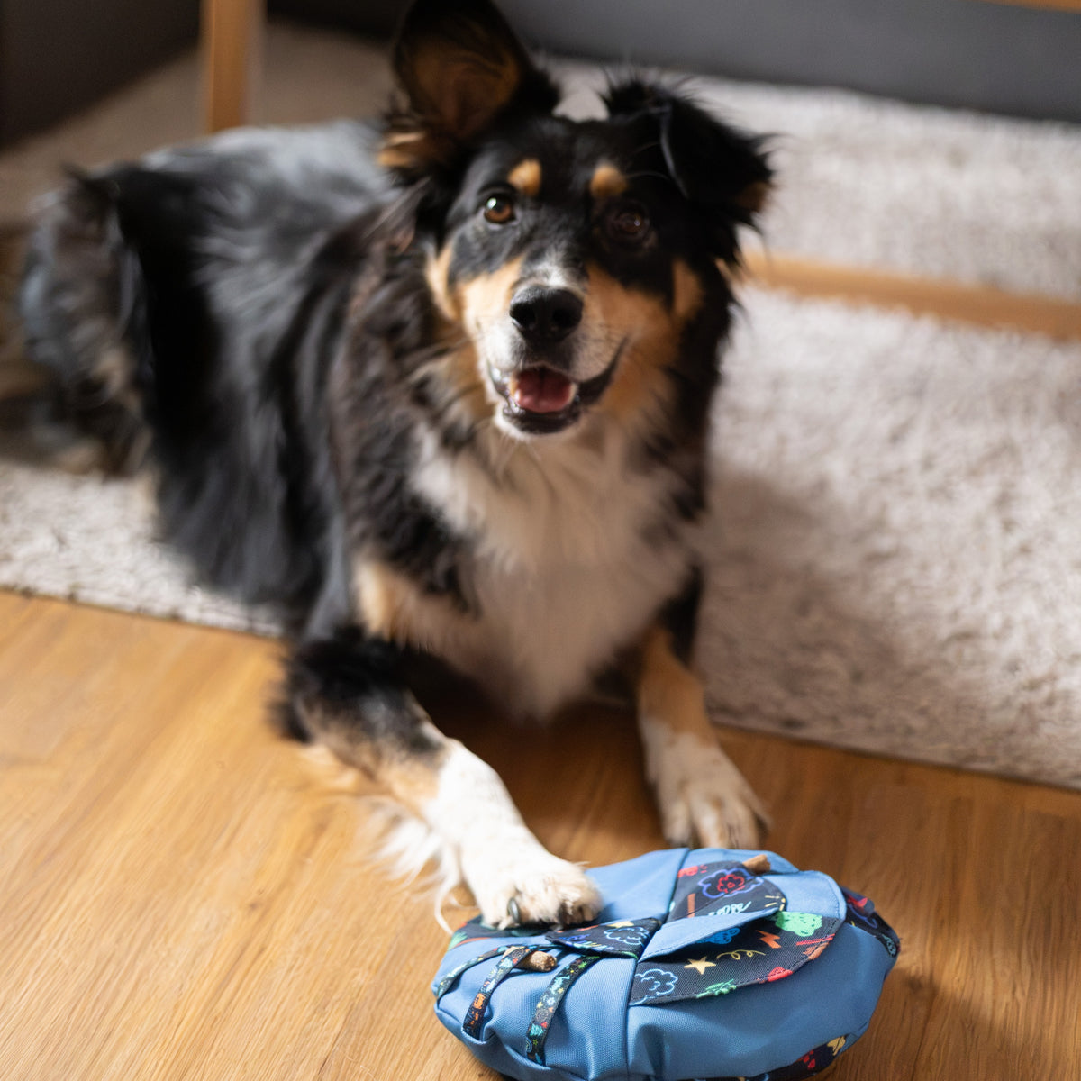 Snuffle Dog Cushion - Level 2