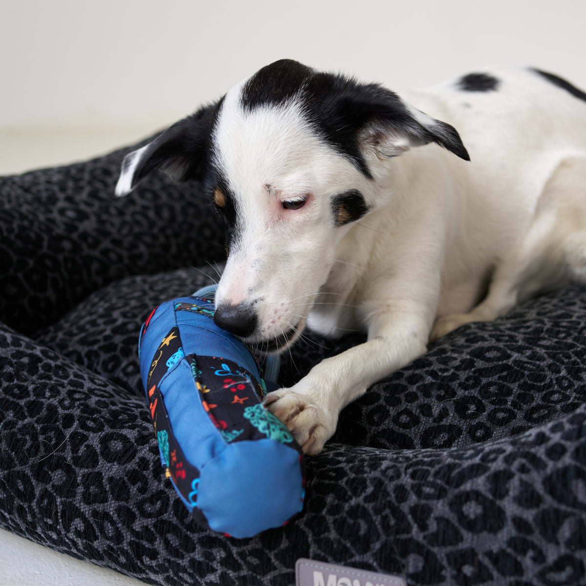 Snuffle Dog Roll - Level 3