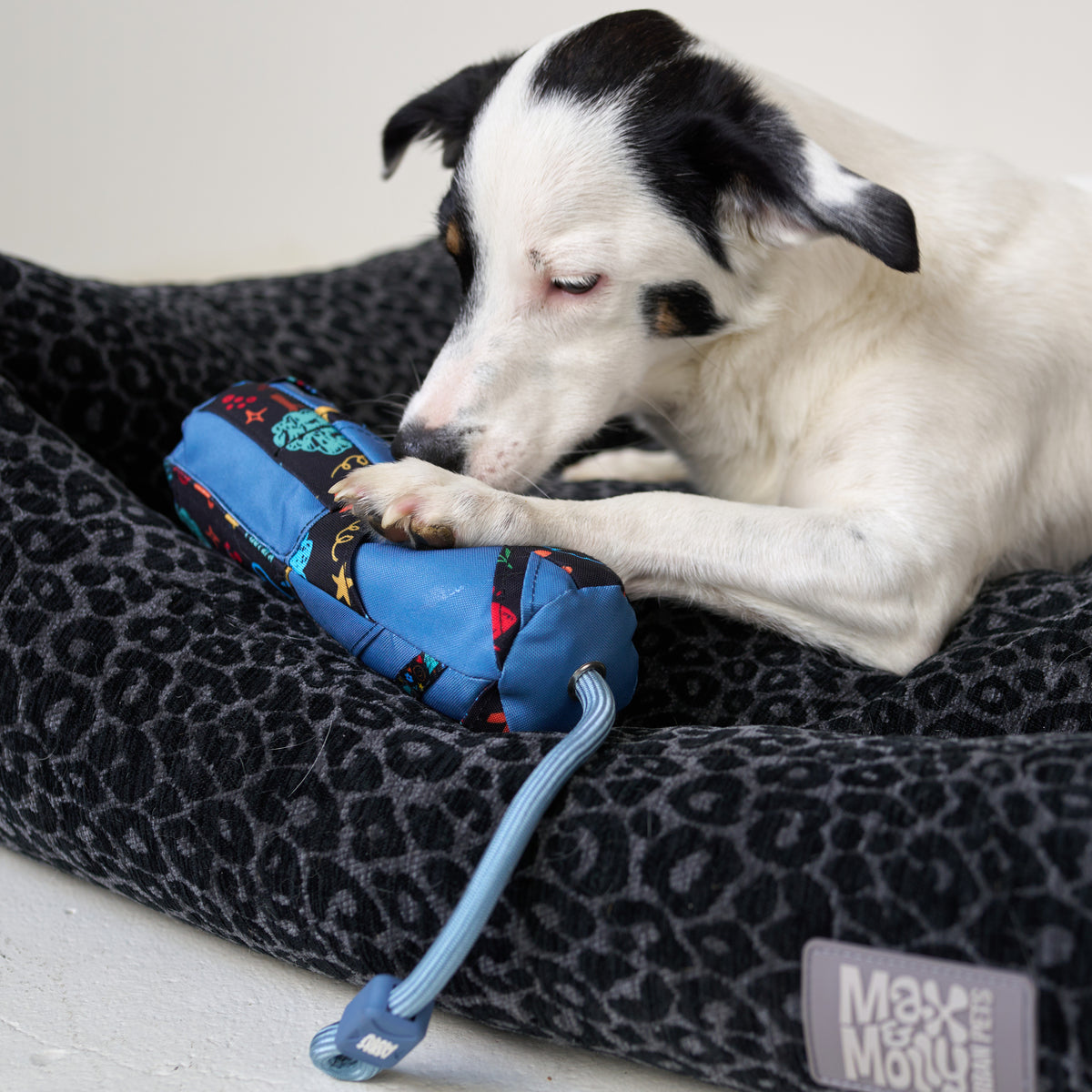 Snuffle Dog Roll - Level 3