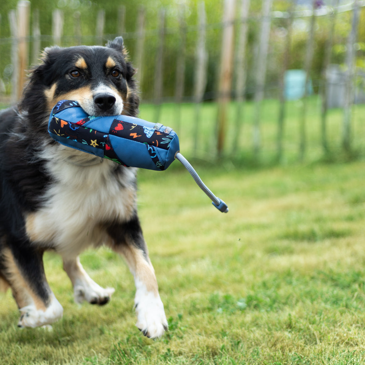 Snuffle Dog Roll - Level 3