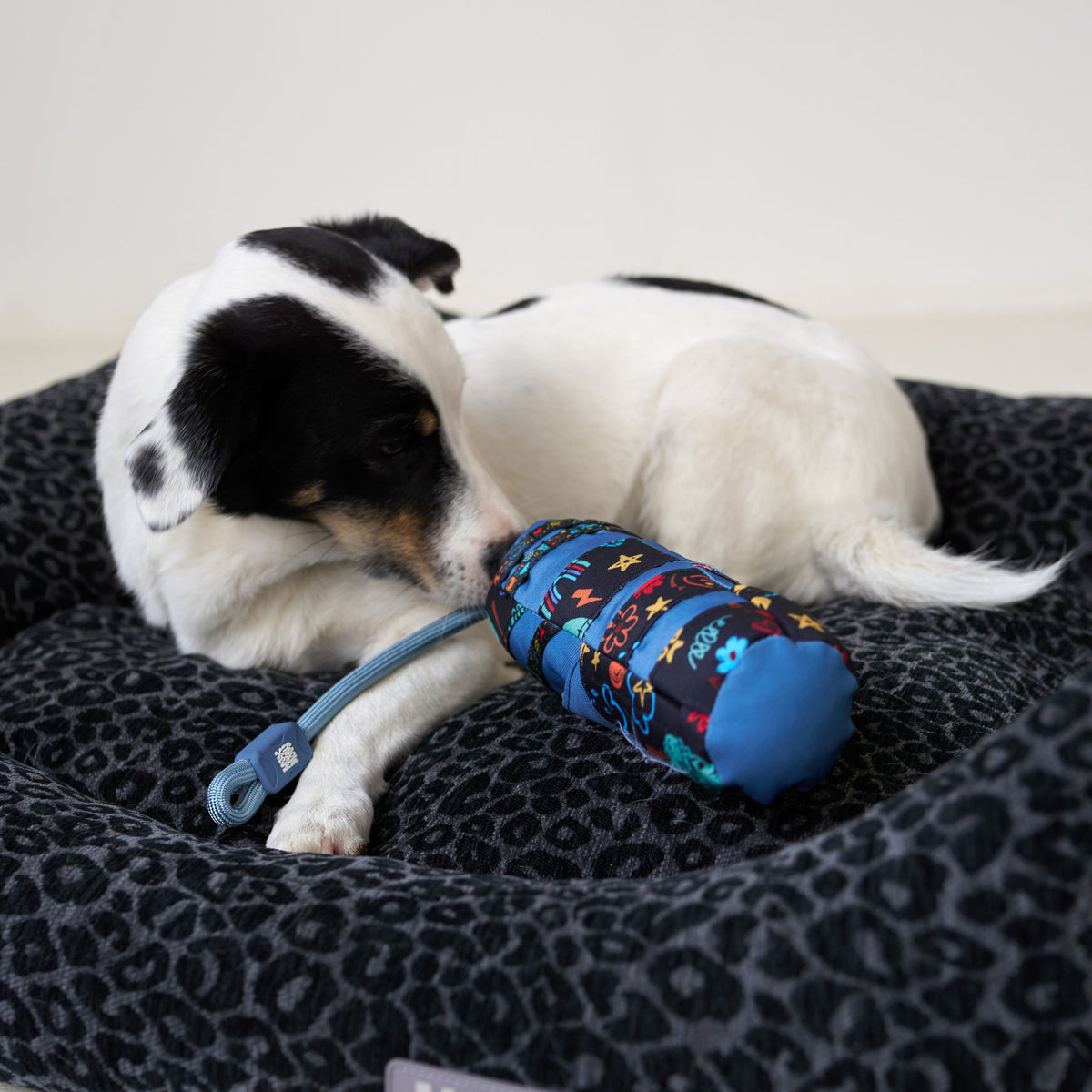Snuffle Dog Roll - Level 3
