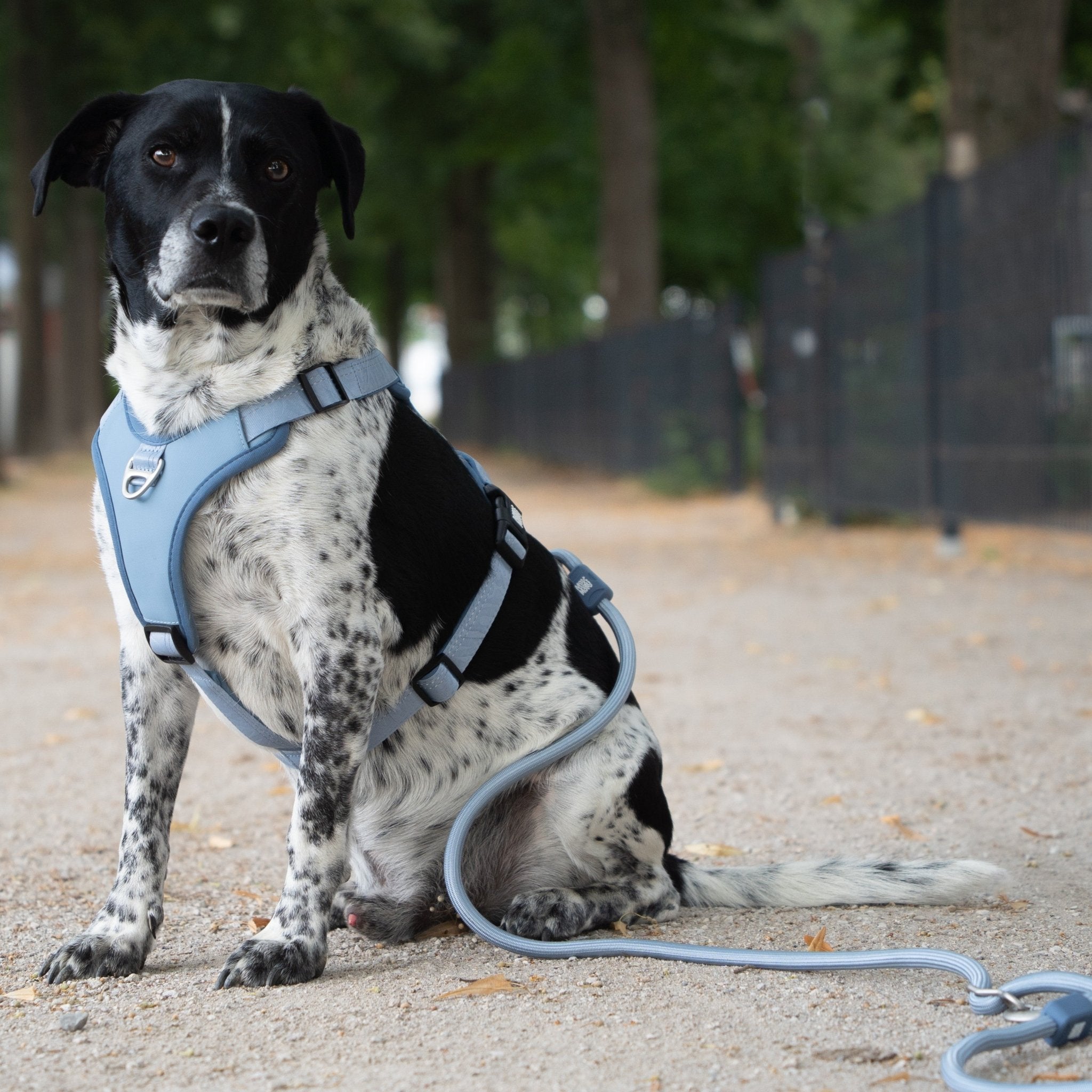 Tauleine - MATRIX 2.0 Ocean