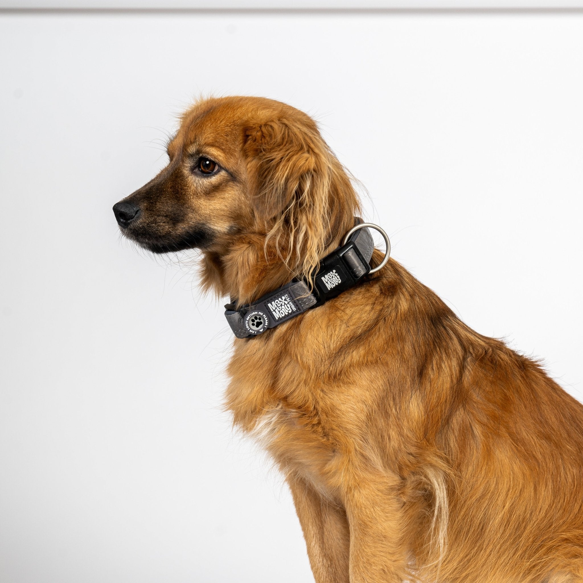 GOTCHA! Smart ID Collar - Matrix 2.0 Stone