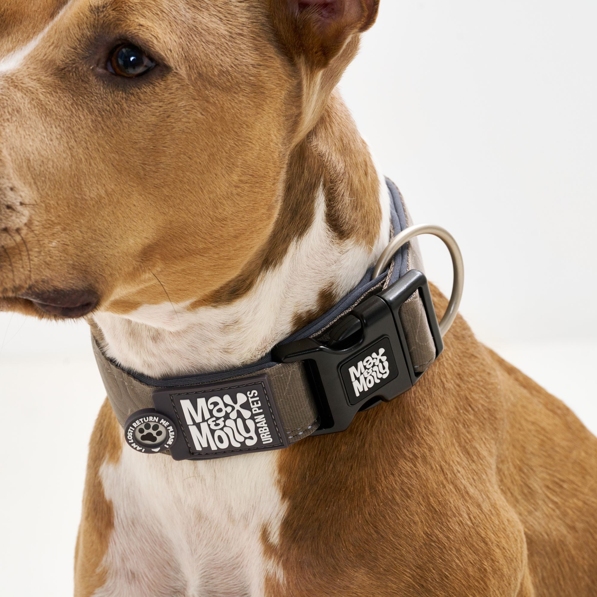 Smart ID Breites Halsband - Matrix 2.0 Stone