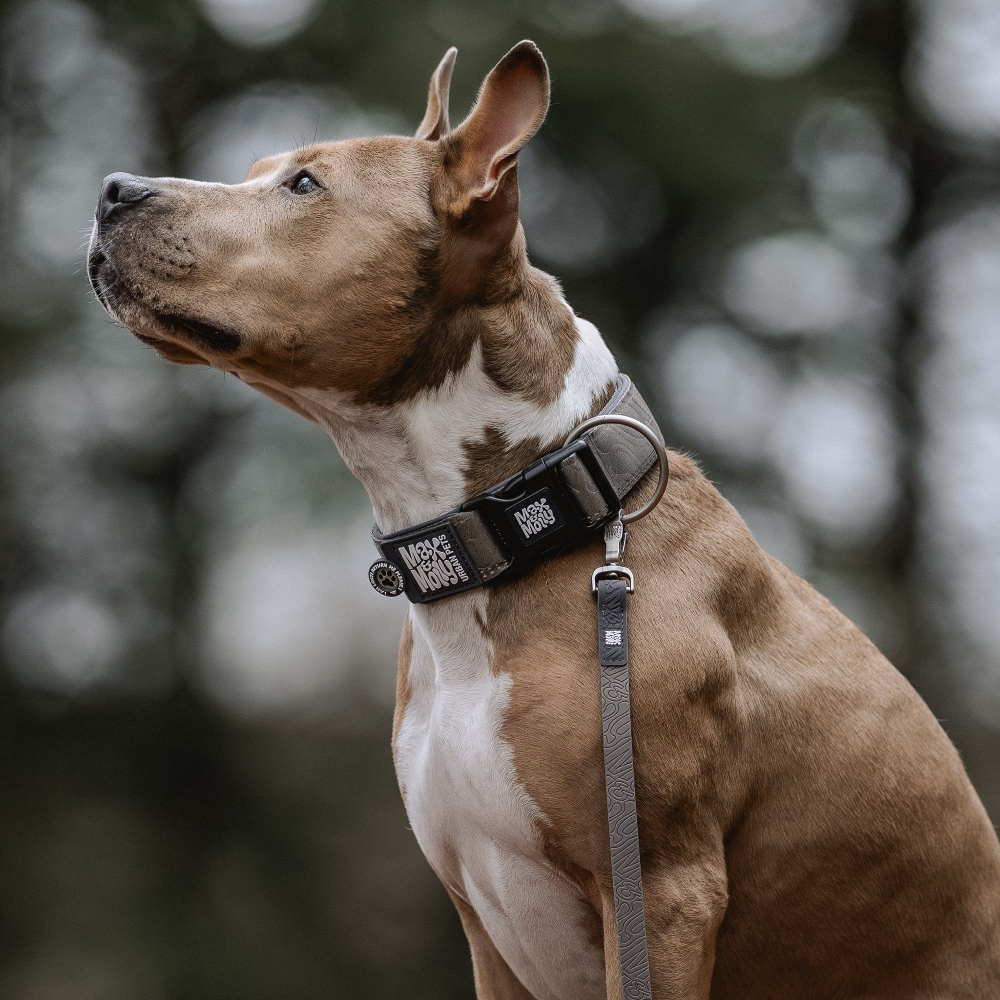 Smart ID Wide Collar - Matrix 2.0 Stone