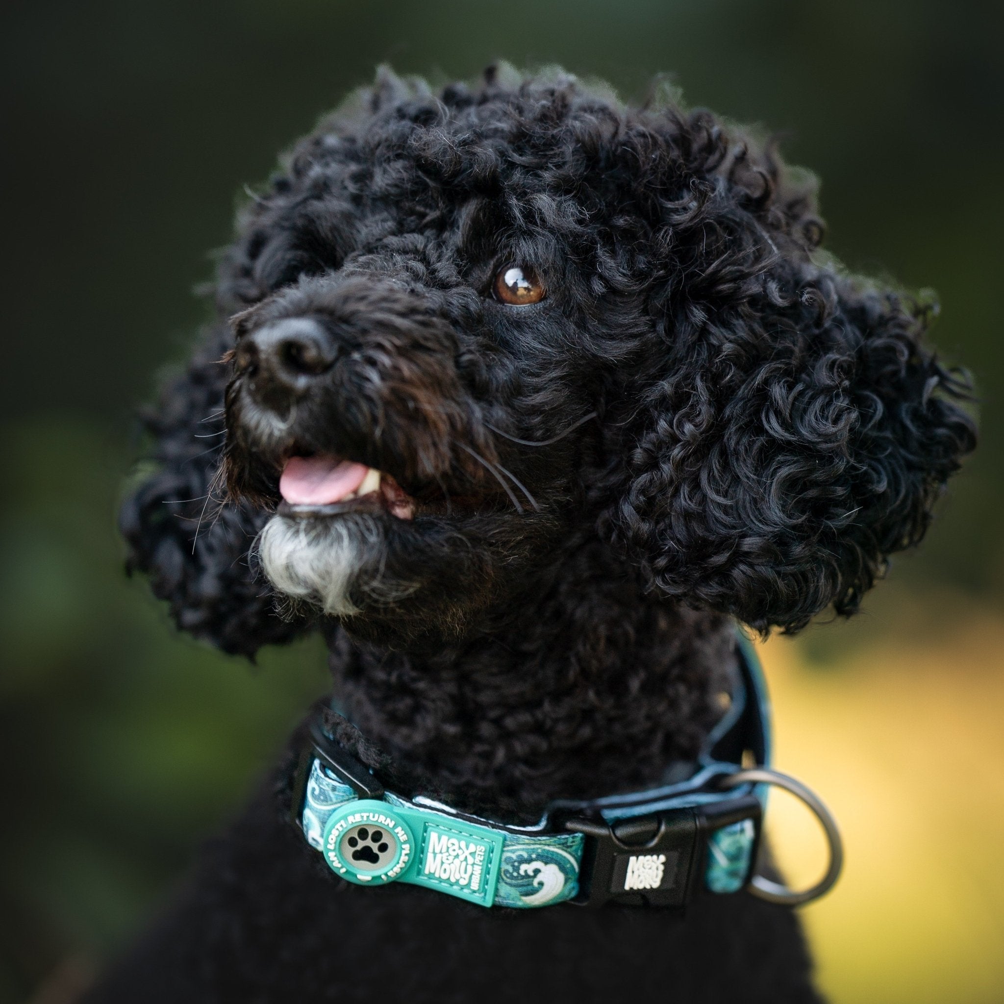 GOTCHA! Smart ID Halsband - Storm