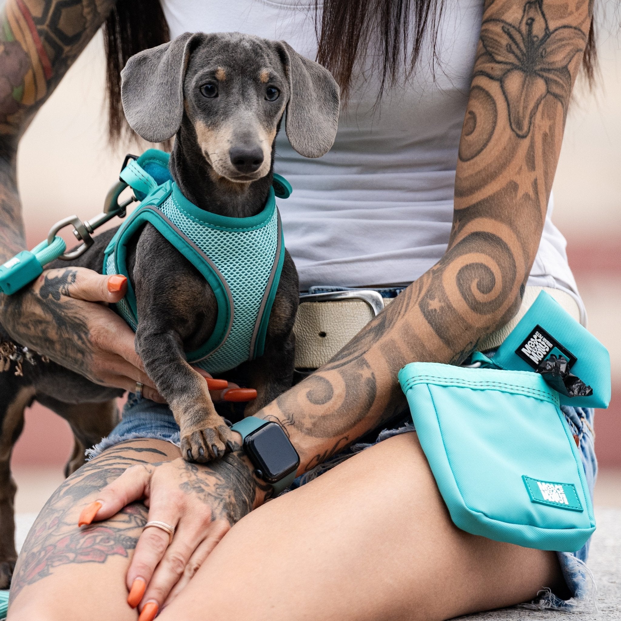 Poo Bag Dispenser for dogs - Matrix 2.0 Turquoise