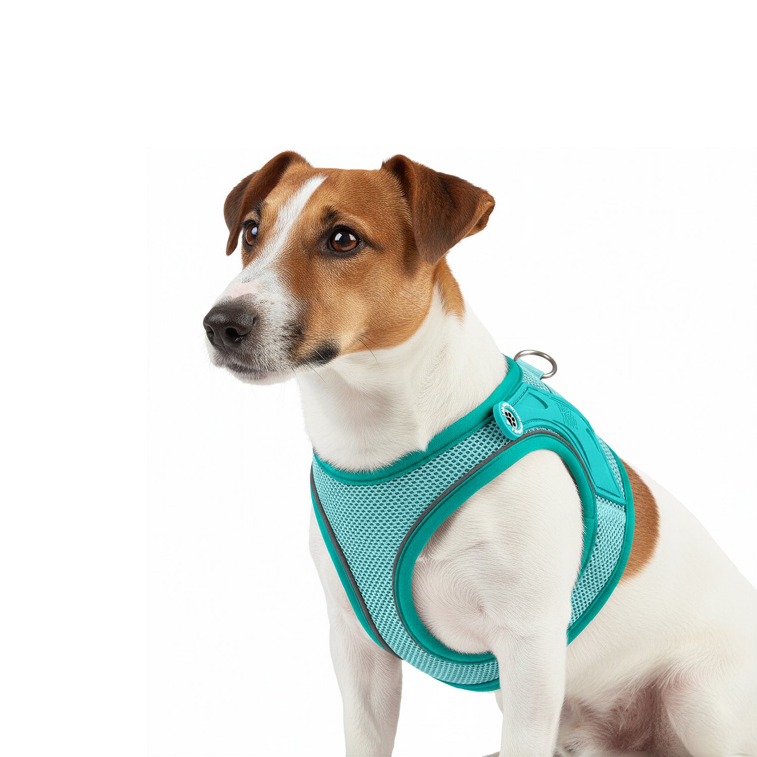 Air Vest Dog Harness - Matrix 2.0 Turquoise