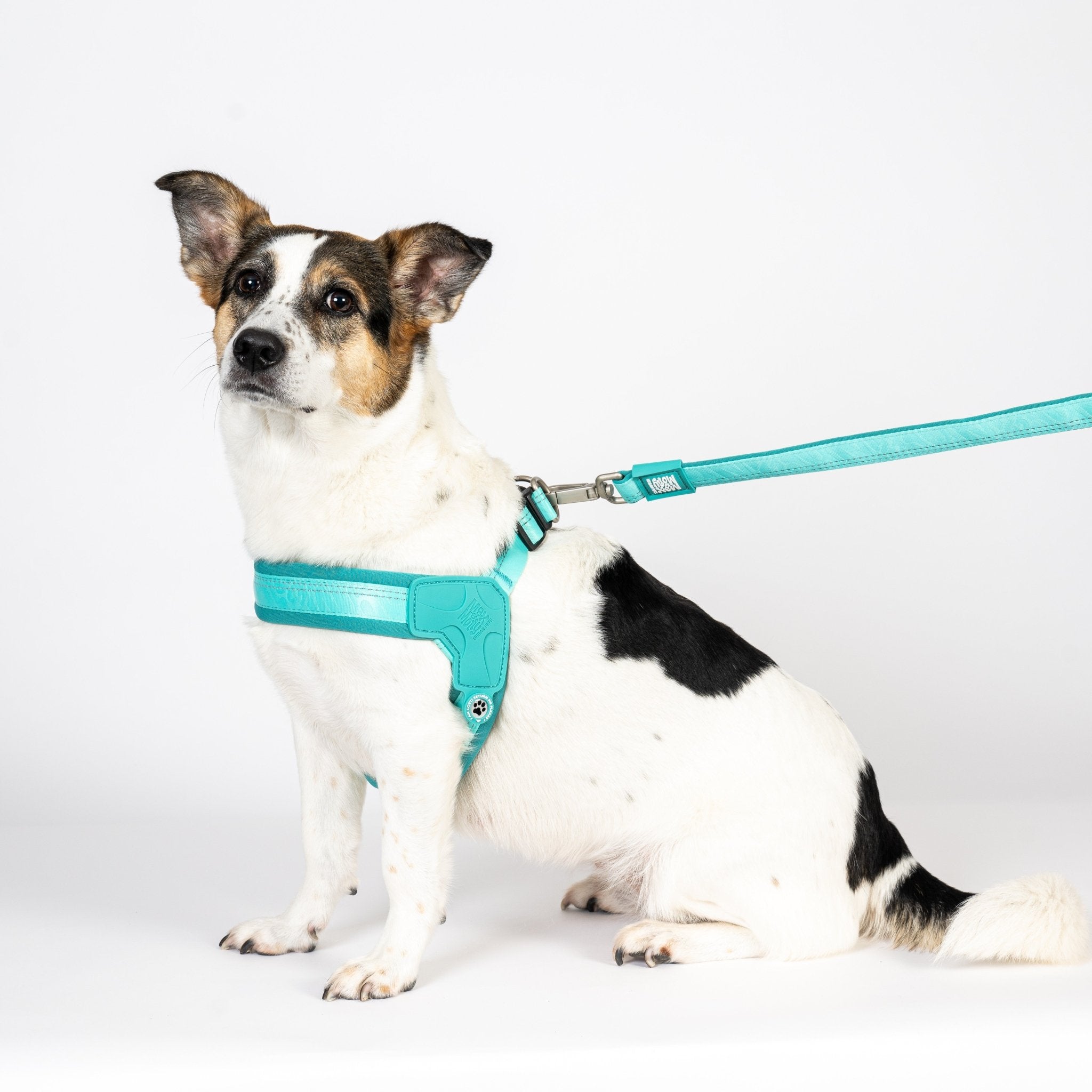 GOTCHA! Smart ID Q-Fit Harness - Matrix 2.0 Turquoise