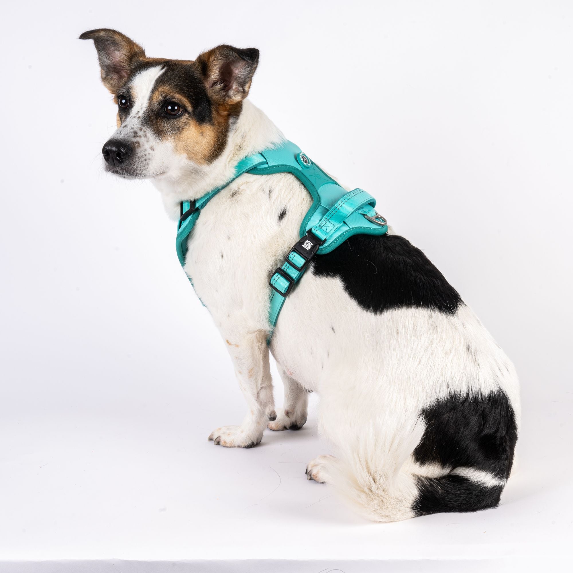 GOTCHA! Smart ID Sport Harness - Matrix 2.0 Turquoise