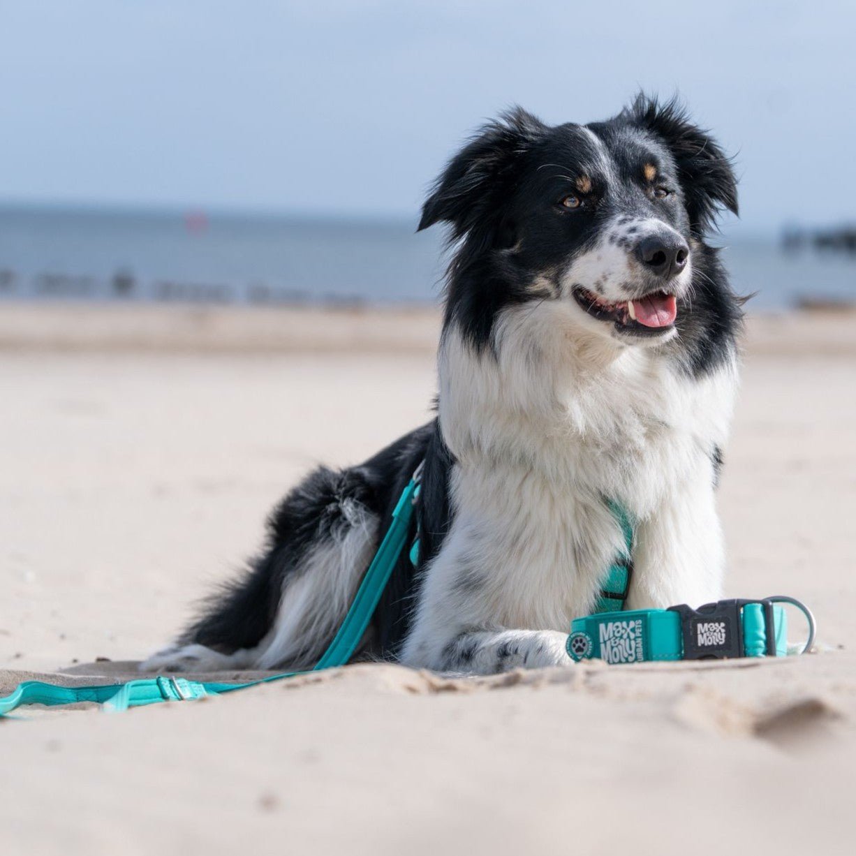 Smart ID Breites Halsband - Matrix 2.0 Türkis