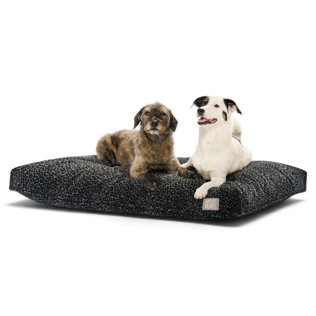 Dog Mattress Bed - Kivo Leo Black