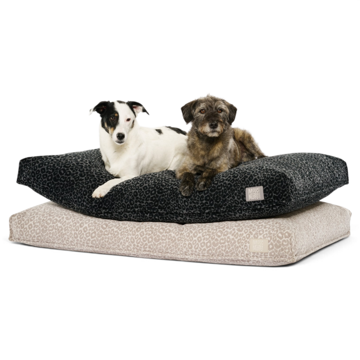 Dog Mattress Bed - Kivo Leo Beige